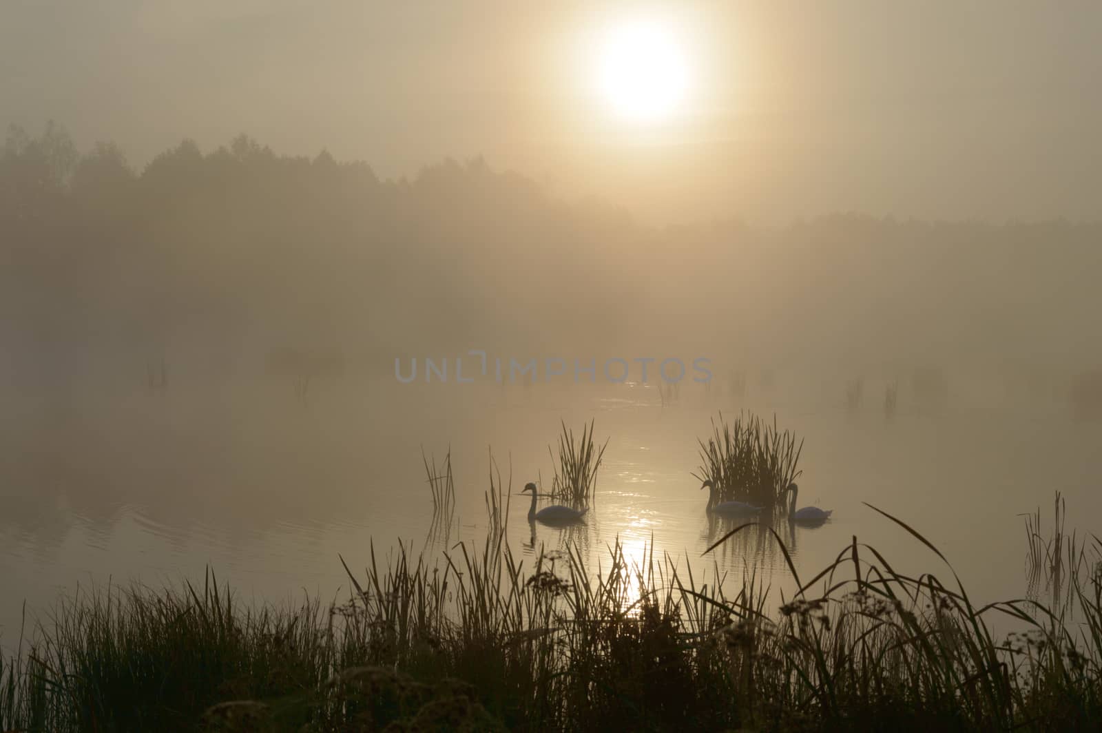 blue lake with cloudy sky, nature series