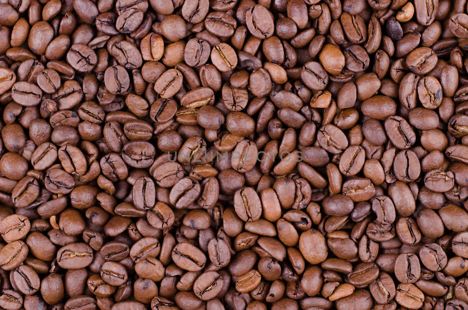 Background of coffee beans. Dropped brown coffee beans.