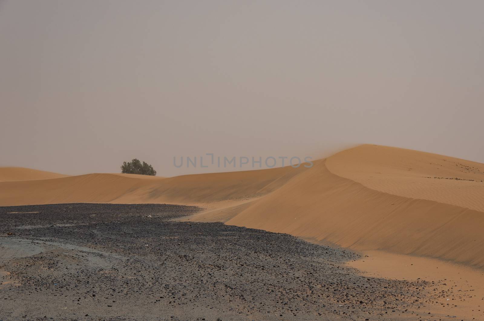 Sand dunes in Merzouga village near sahara Erg Chebbi dune in sa by Smoke666