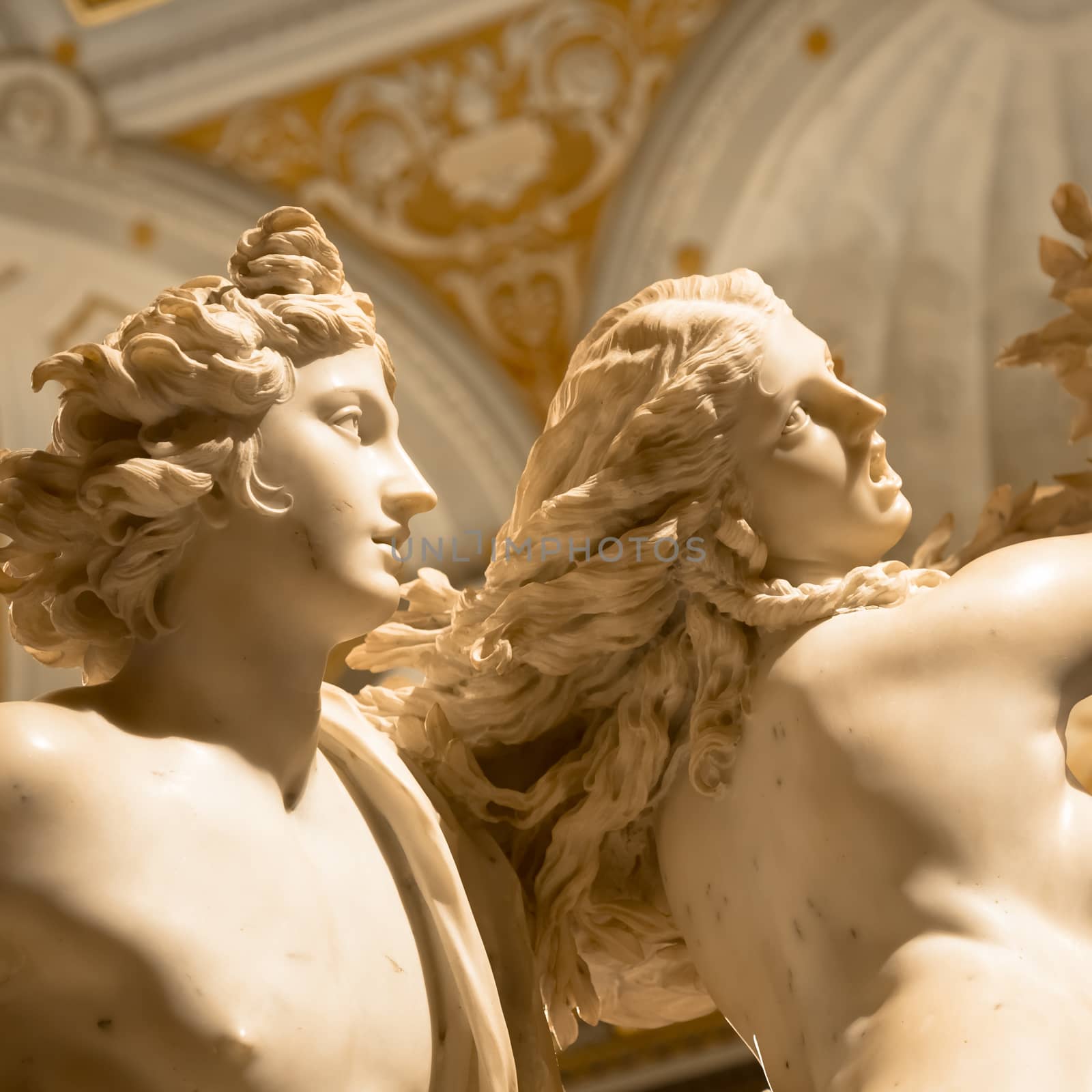 ROME, ITALY - AUGUST 24, 2018: Gian Lorenzo Bernini masterpiece, Apollo e Dafne, dated 1625