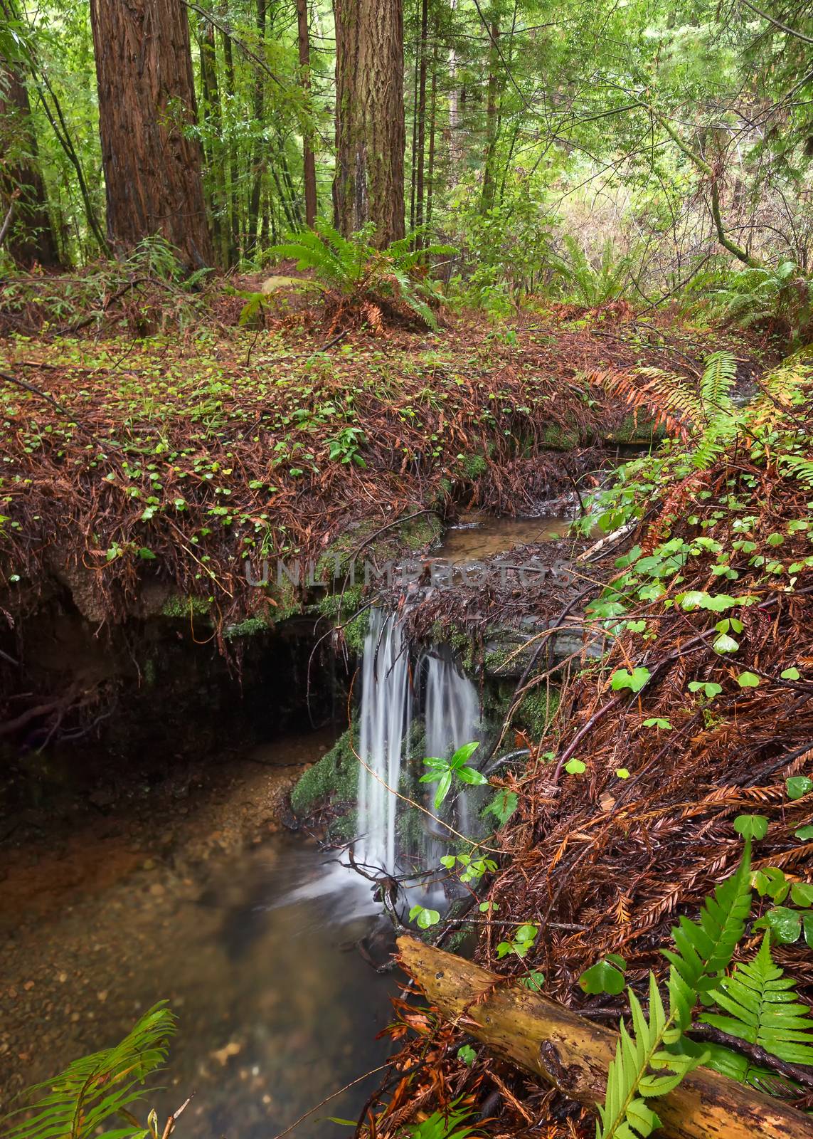 Small Waterfall in the Mountains of Northern California by backyard_photography