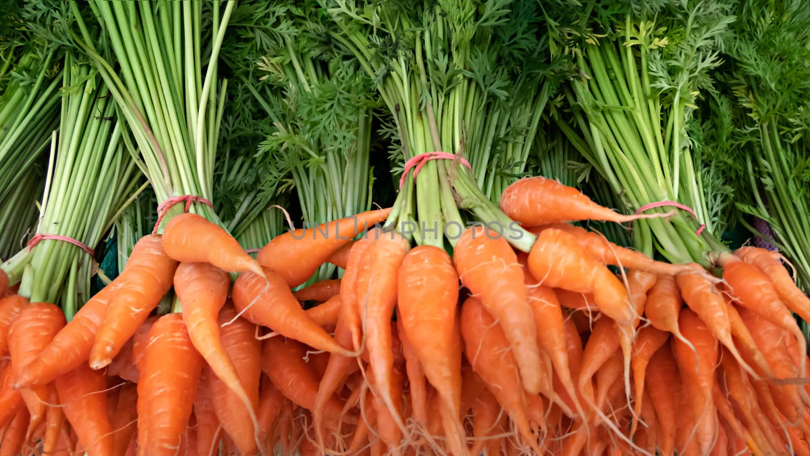 Bunch of fresh organic carrots in a market