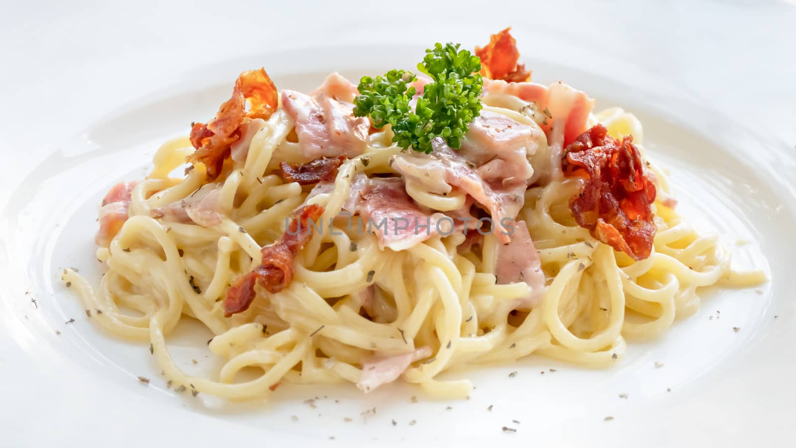 Spaghetti carbonara with bacon and cheese on white dish