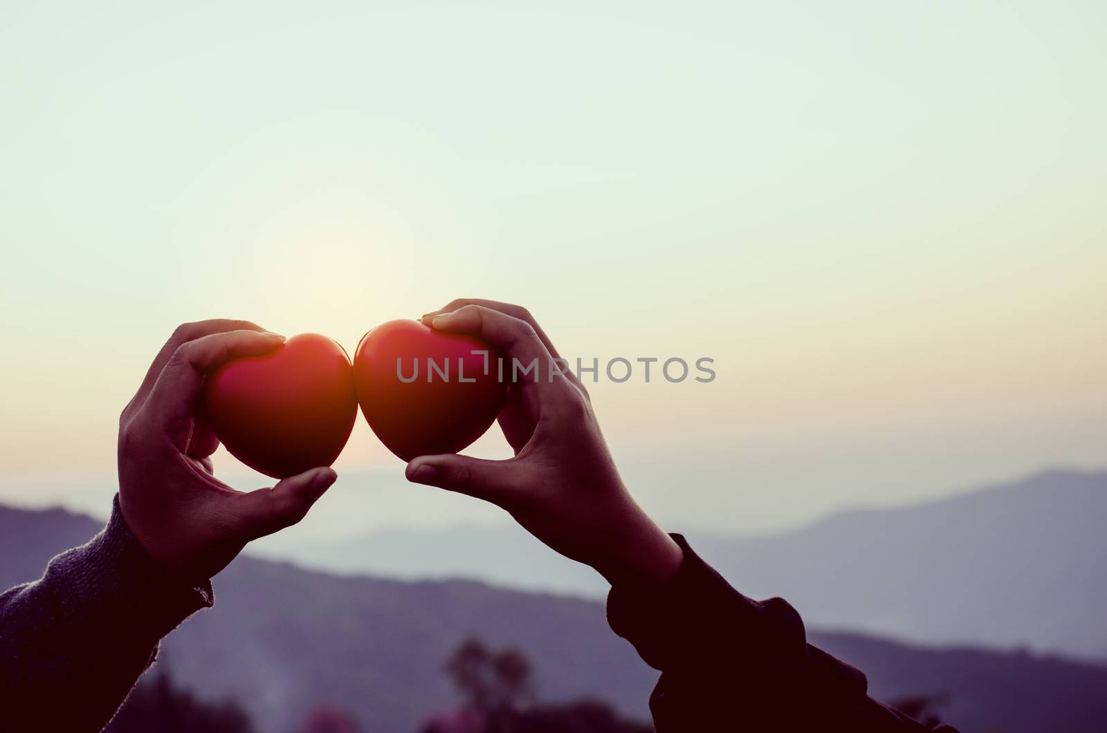 hands holding heart in shape of love