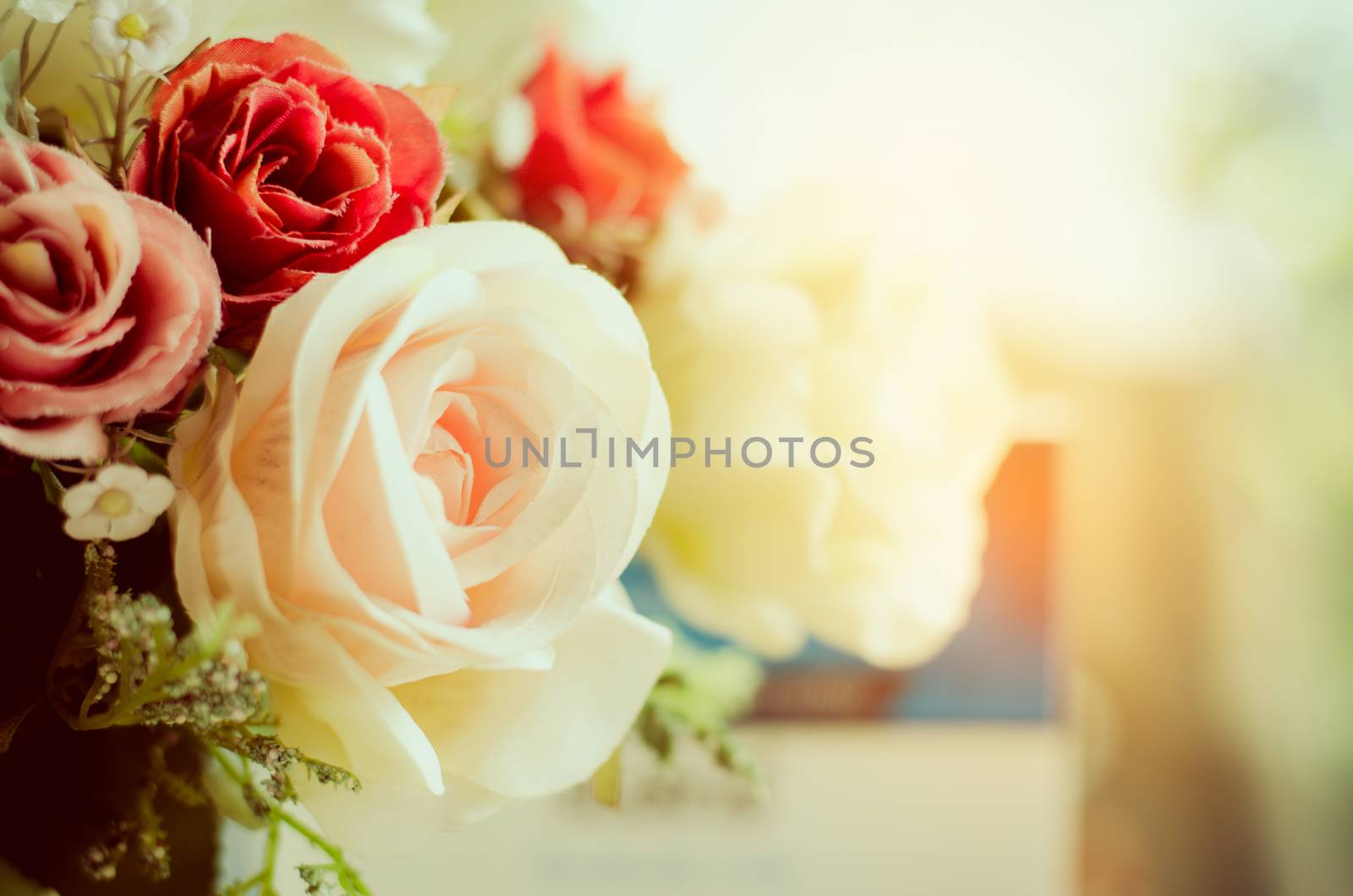 Spring border background with colorful roses