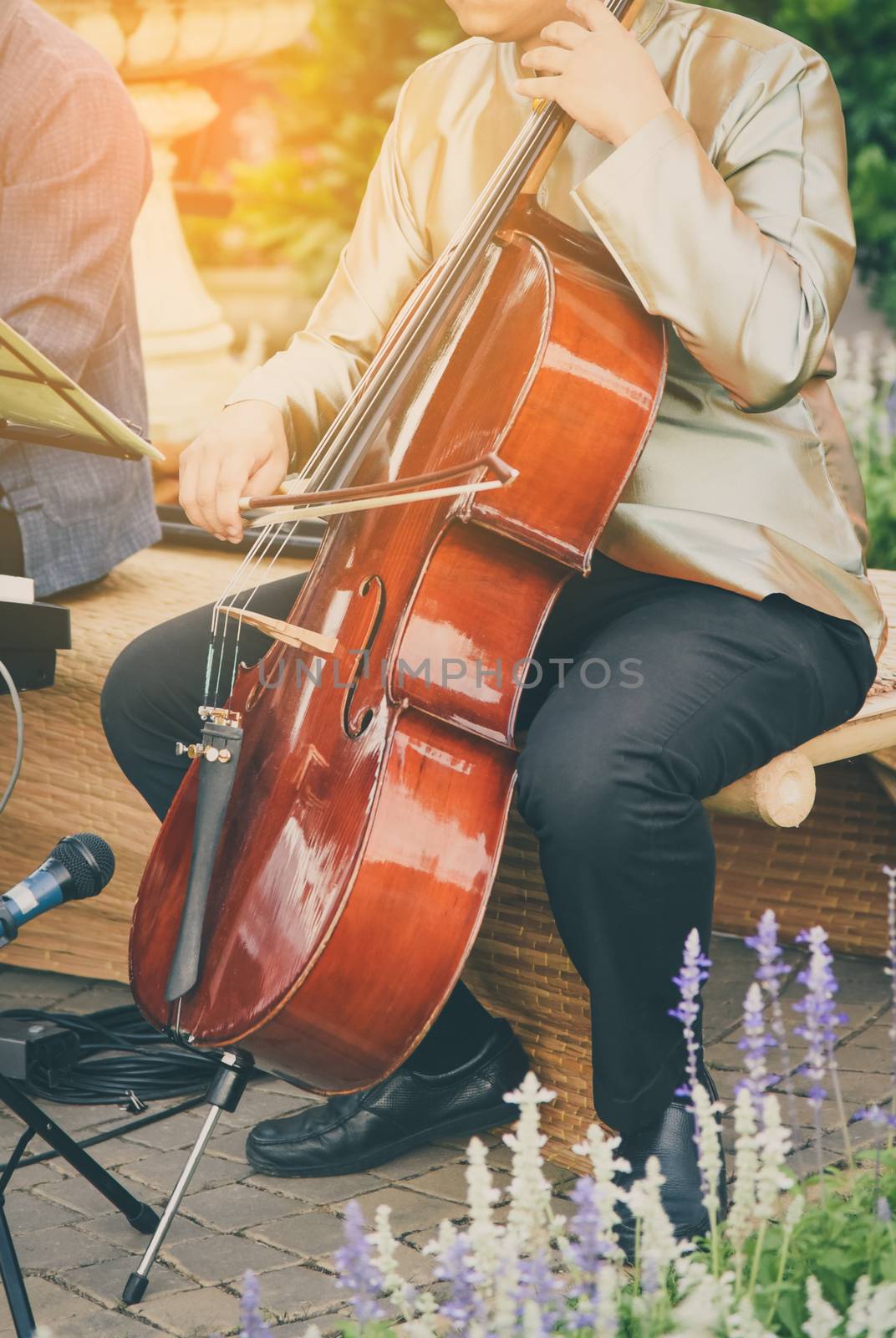 Man playing cello in morning ligth gold by photobyphotoboy