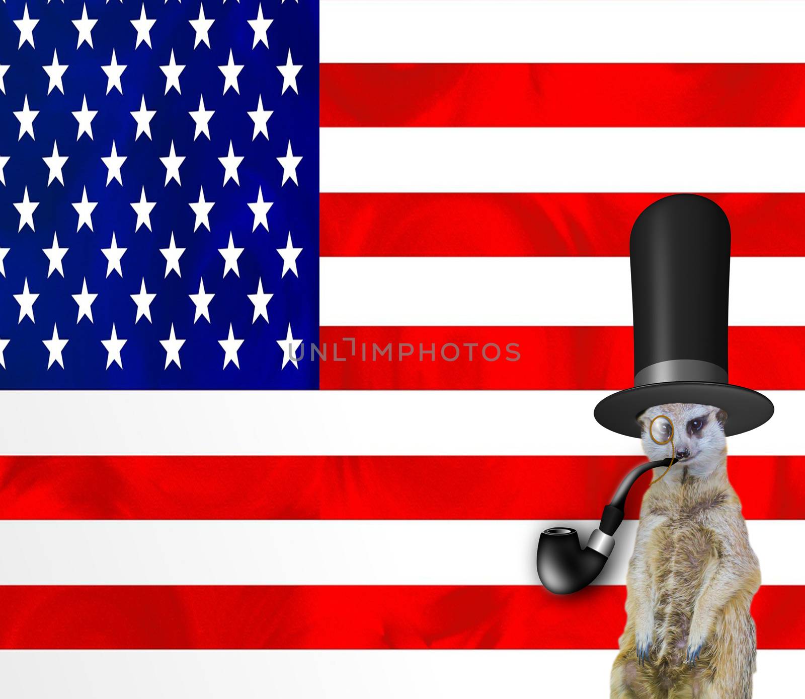 A funny posh meerkat wearing a top hat smoking the pipe and wearing a monocle glass, isolated on the american flag background, old england or president day concept