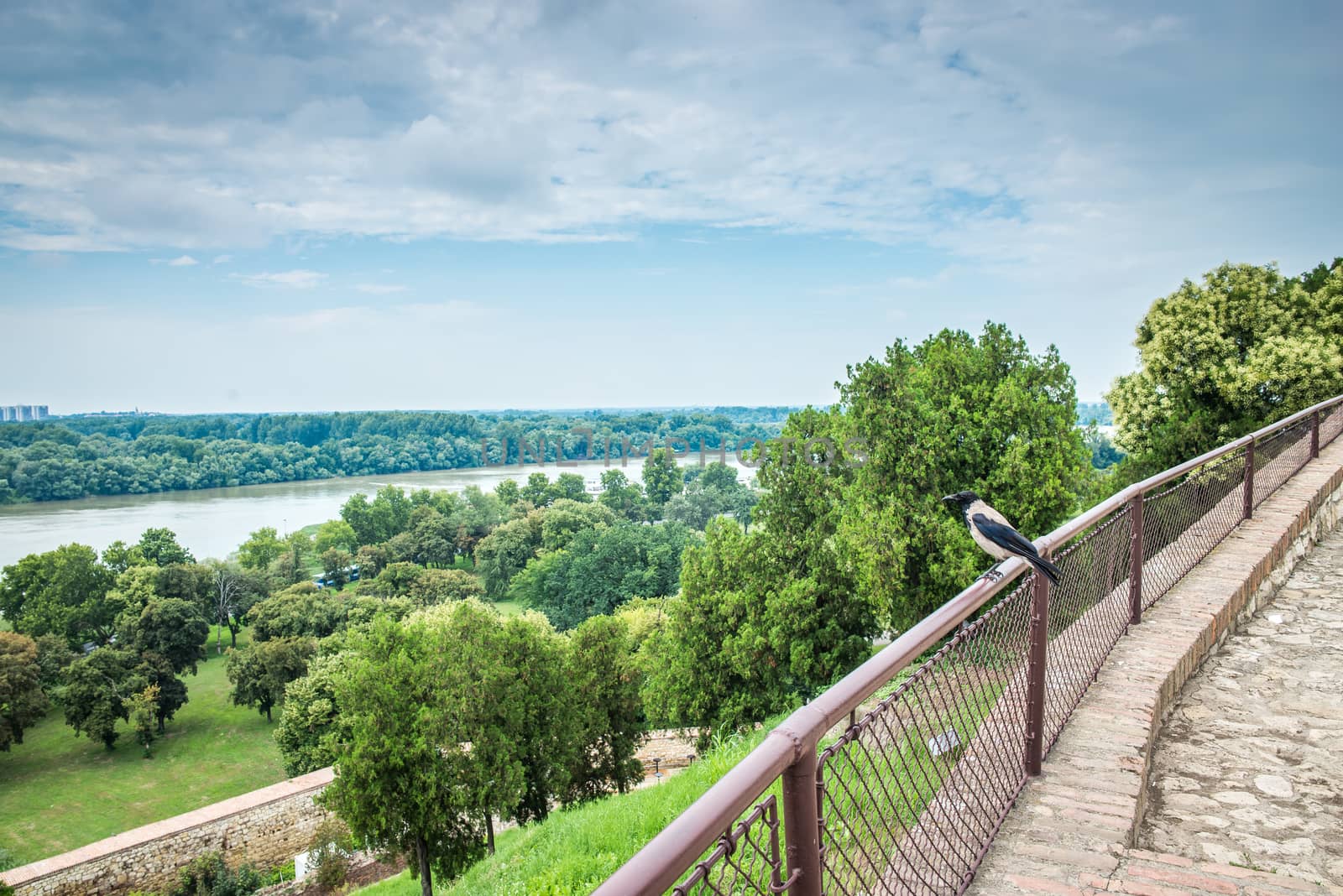 Danube river near Belgrade fortress by Multipedia