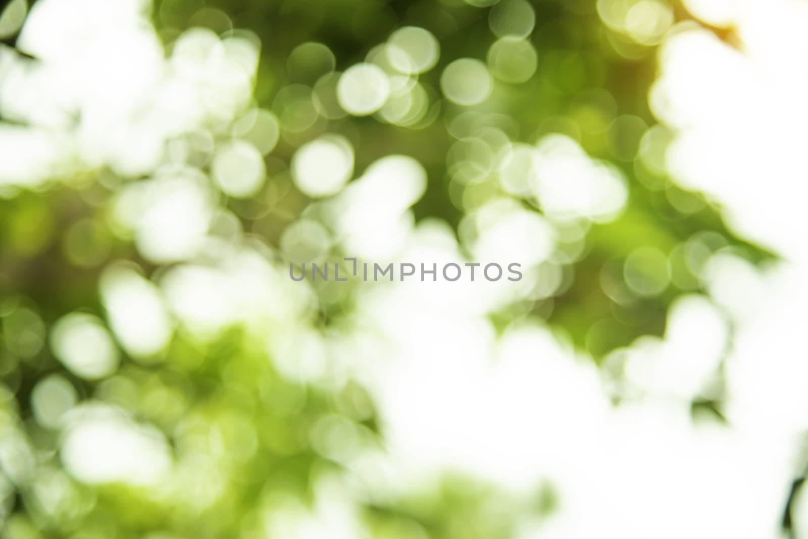 Natural Bokeh background