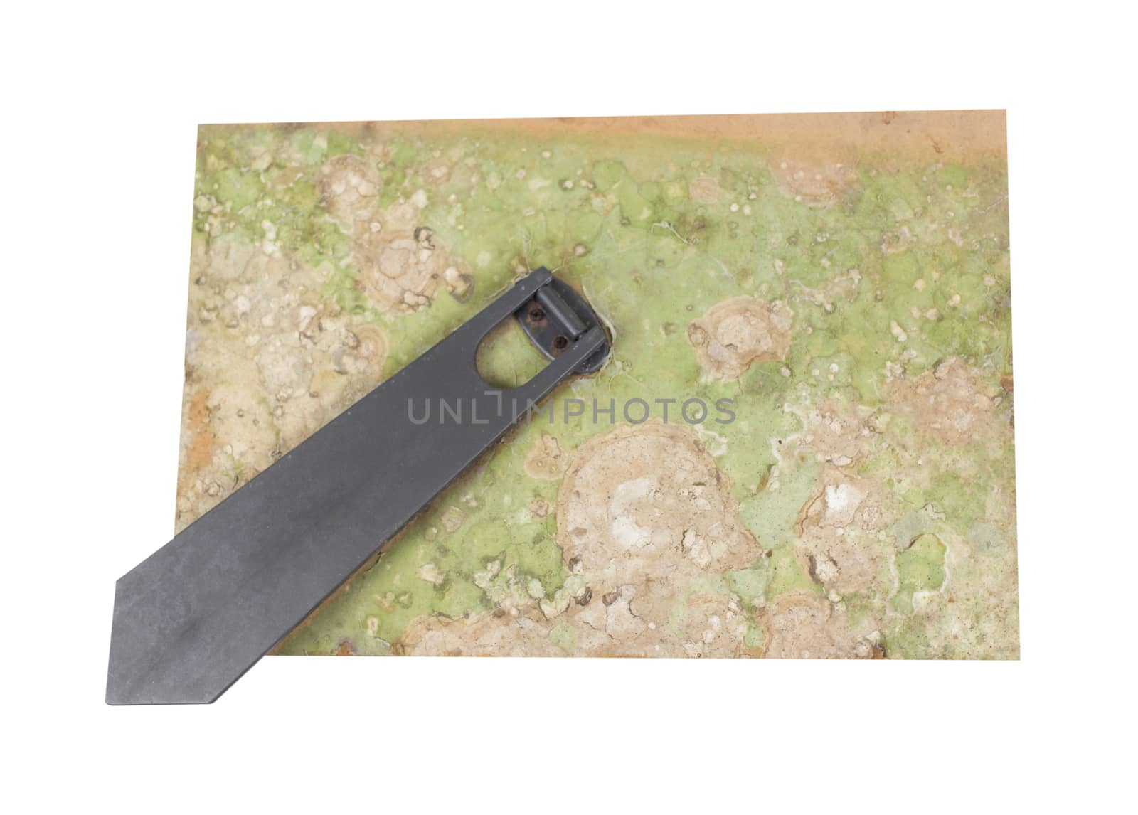 old dirty fungus on back of photo frame with stand isolated with clipping path