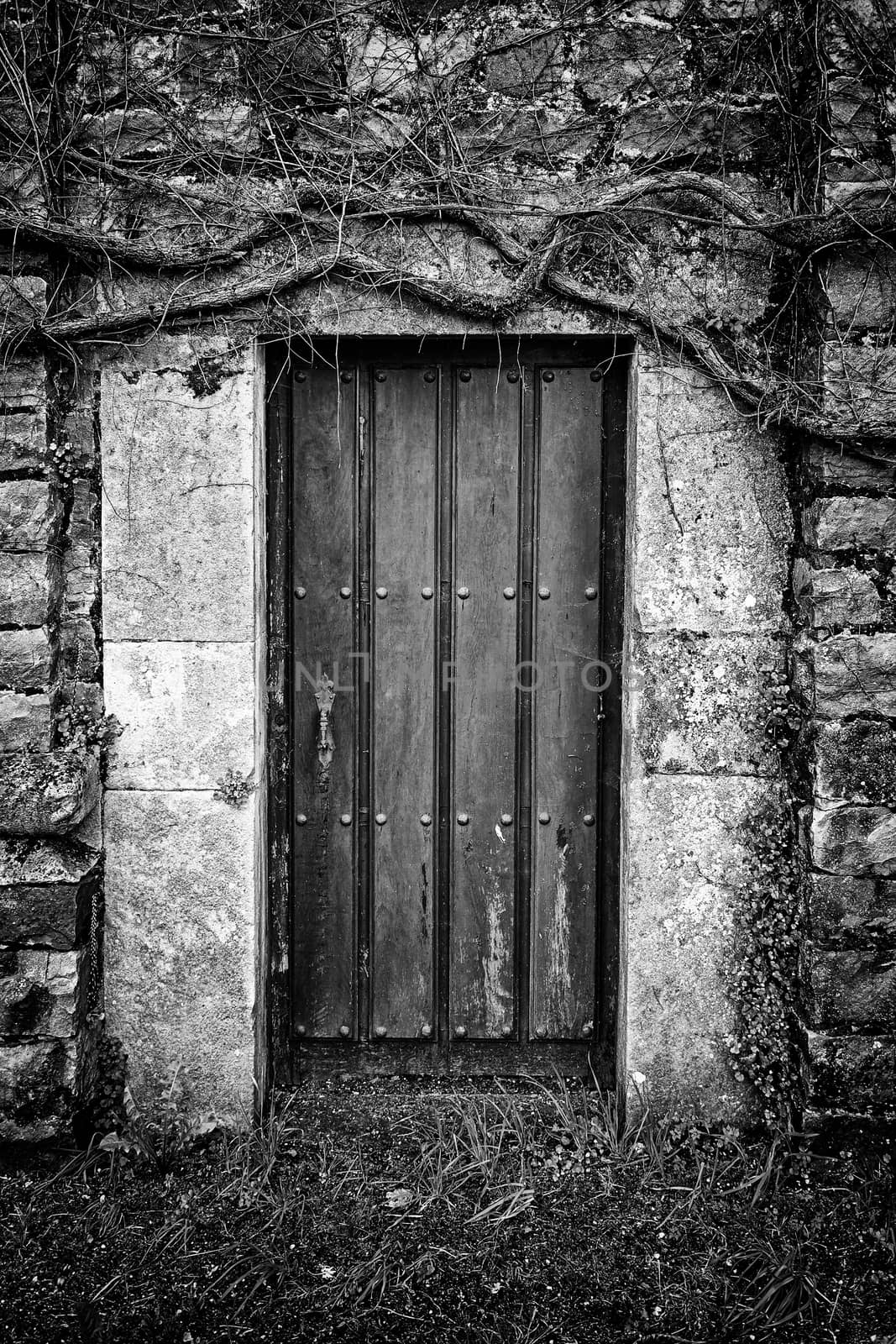 Old rural door by esebene
