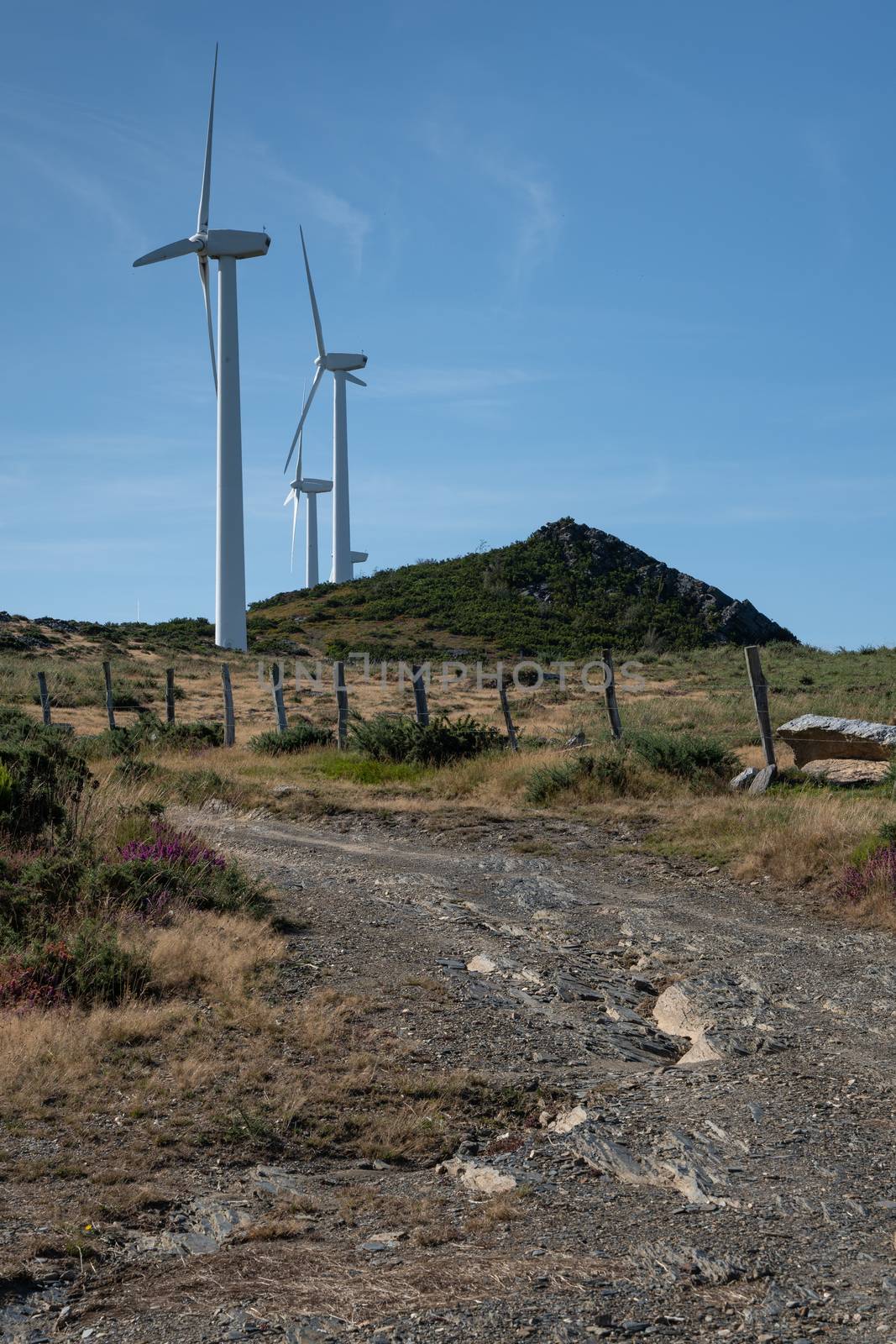 Wind farm, Galicia, Spain by alfotokunst