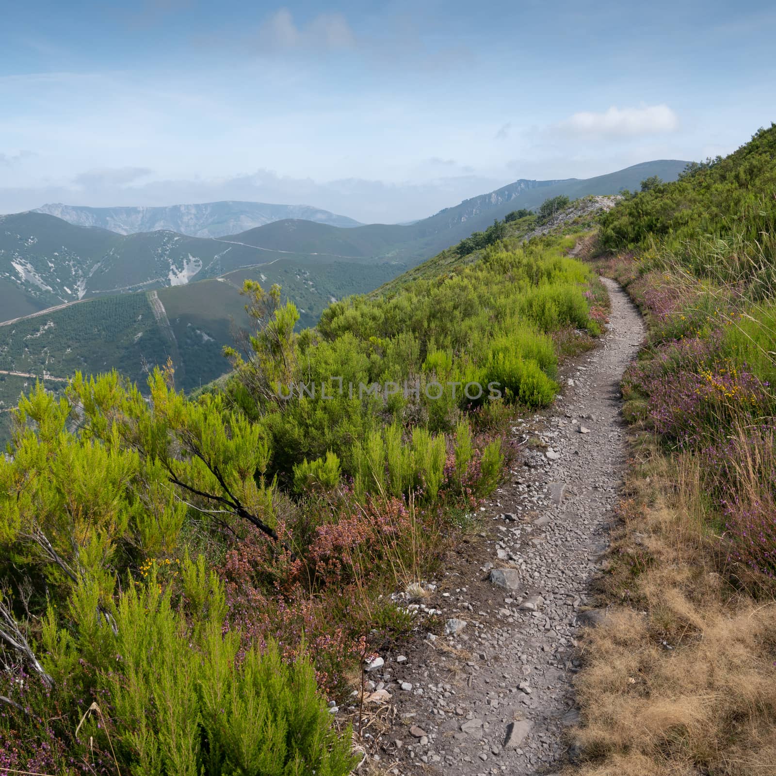 Camino de Santiago trail between Pola de Allande and Grandas de Salime, Asturias, Spain