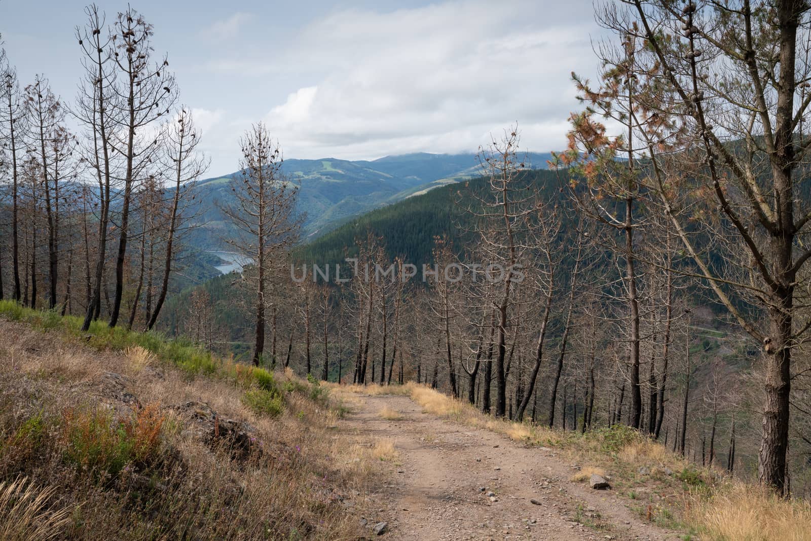Camino de Santiago trail between Pola de Allande and Grandas de Salime, Asturias, Spain