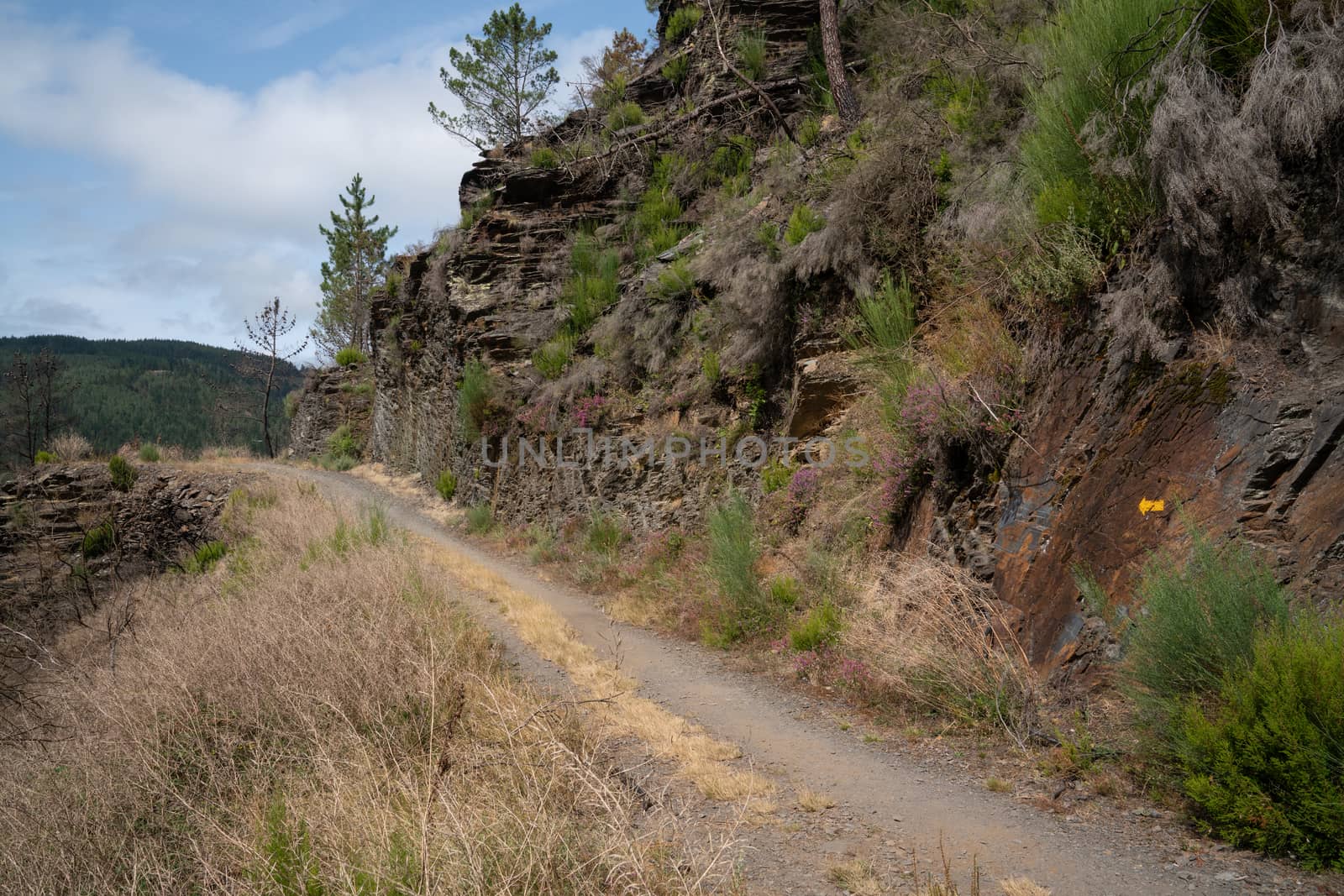 Camino de Santiago trail between Pola de Allande and Grandas de Salime, Asturias, Spain
