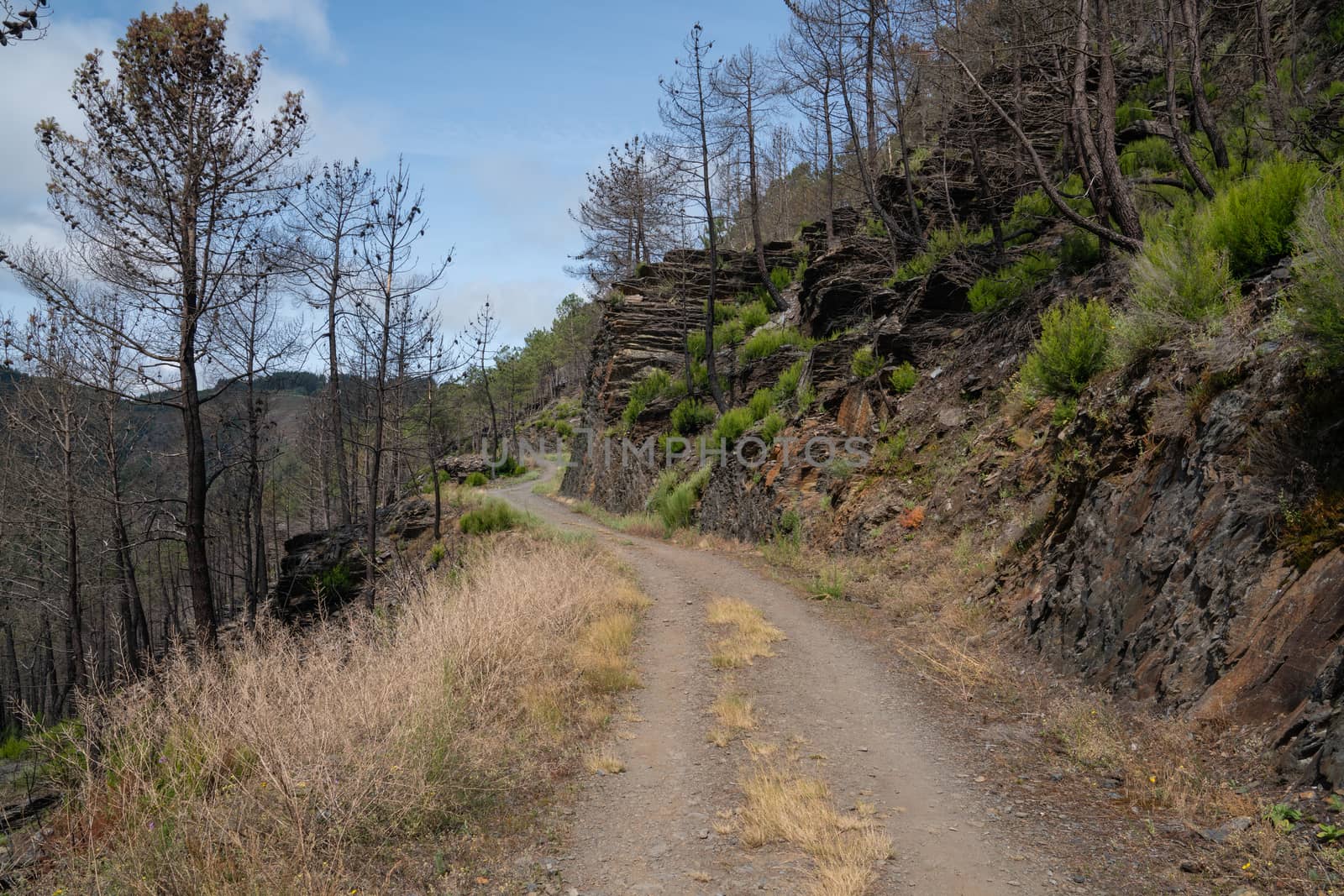 Camino de Santiago trail between Pola de Allande and Grandas de Salime, Asturias, Spain