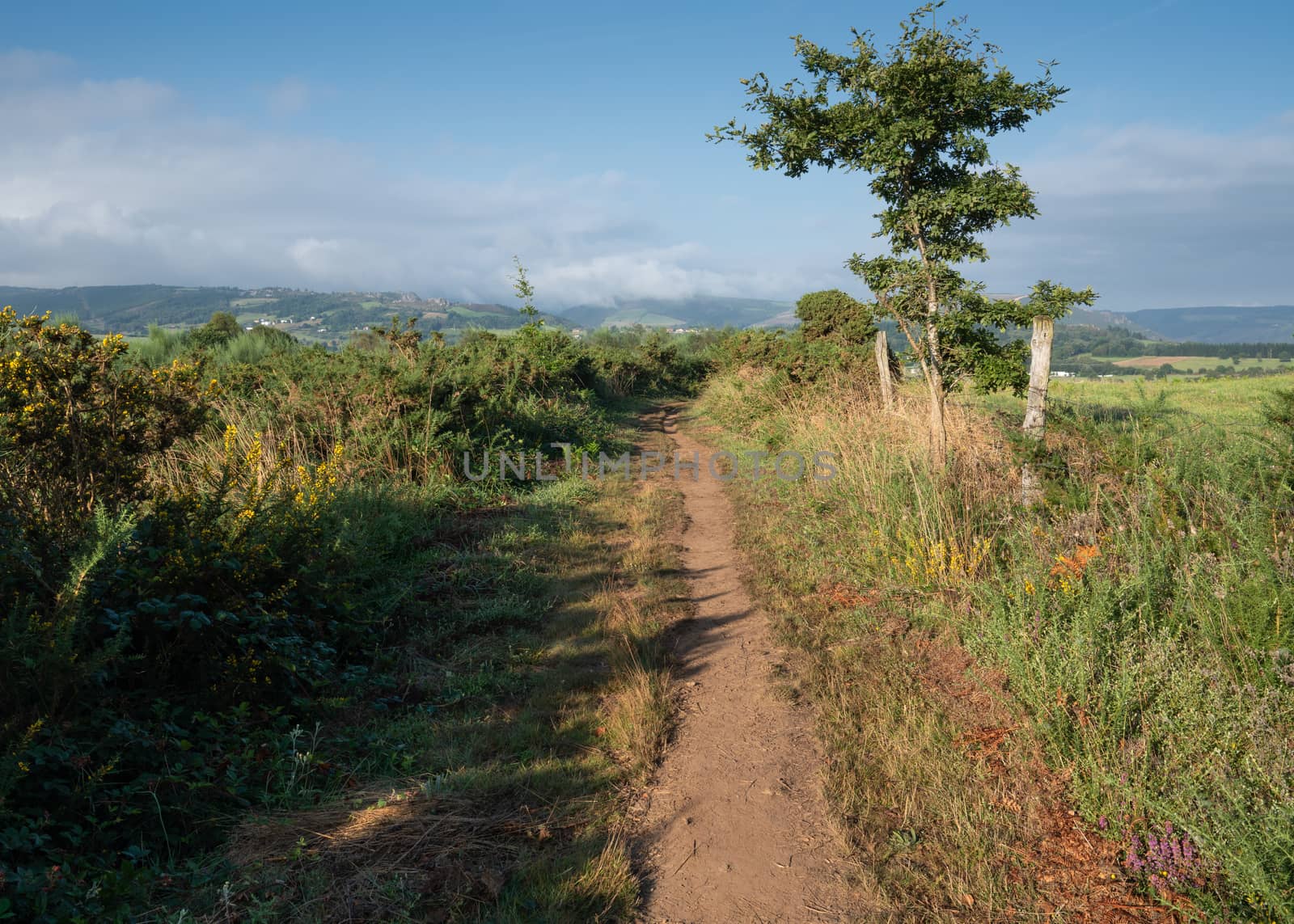 Camino de Santiago trail between Grandas de Salime and Fonsagrada, Asturias, Spain