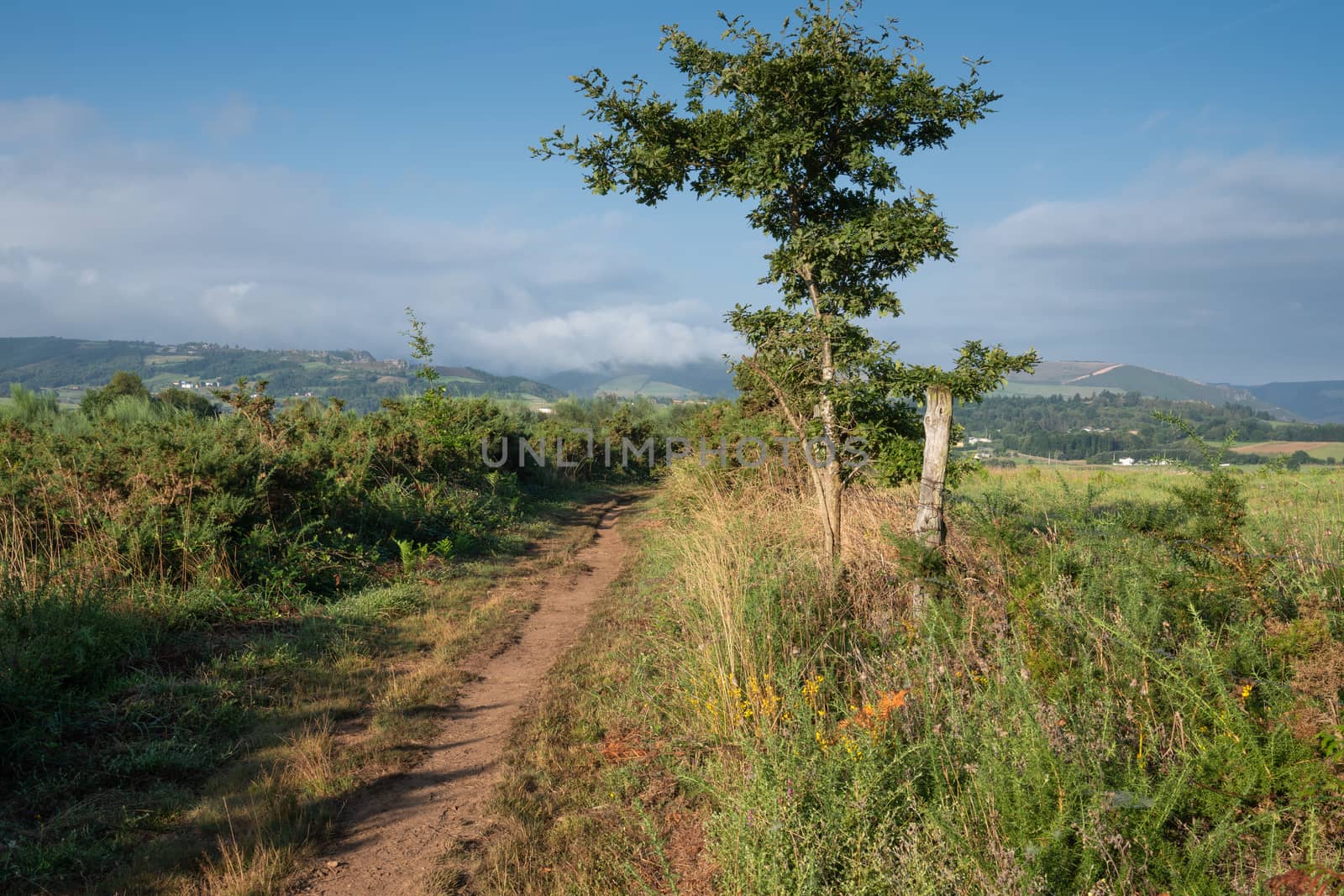Camino de Santiago trail between Grandas de Salime and Fonsagrada, Asturias, Spain