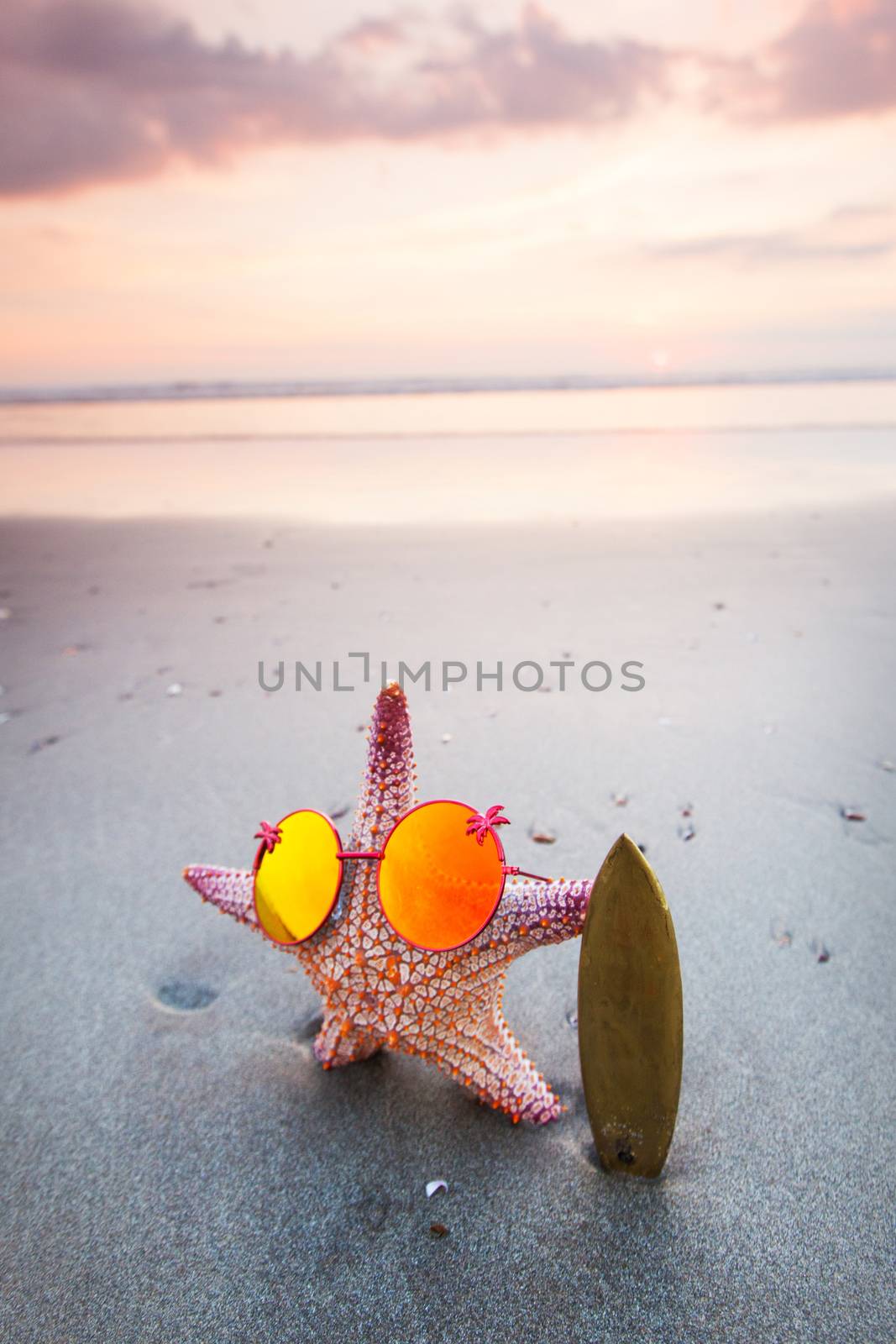 Starfish surfer on beach by Yellowj