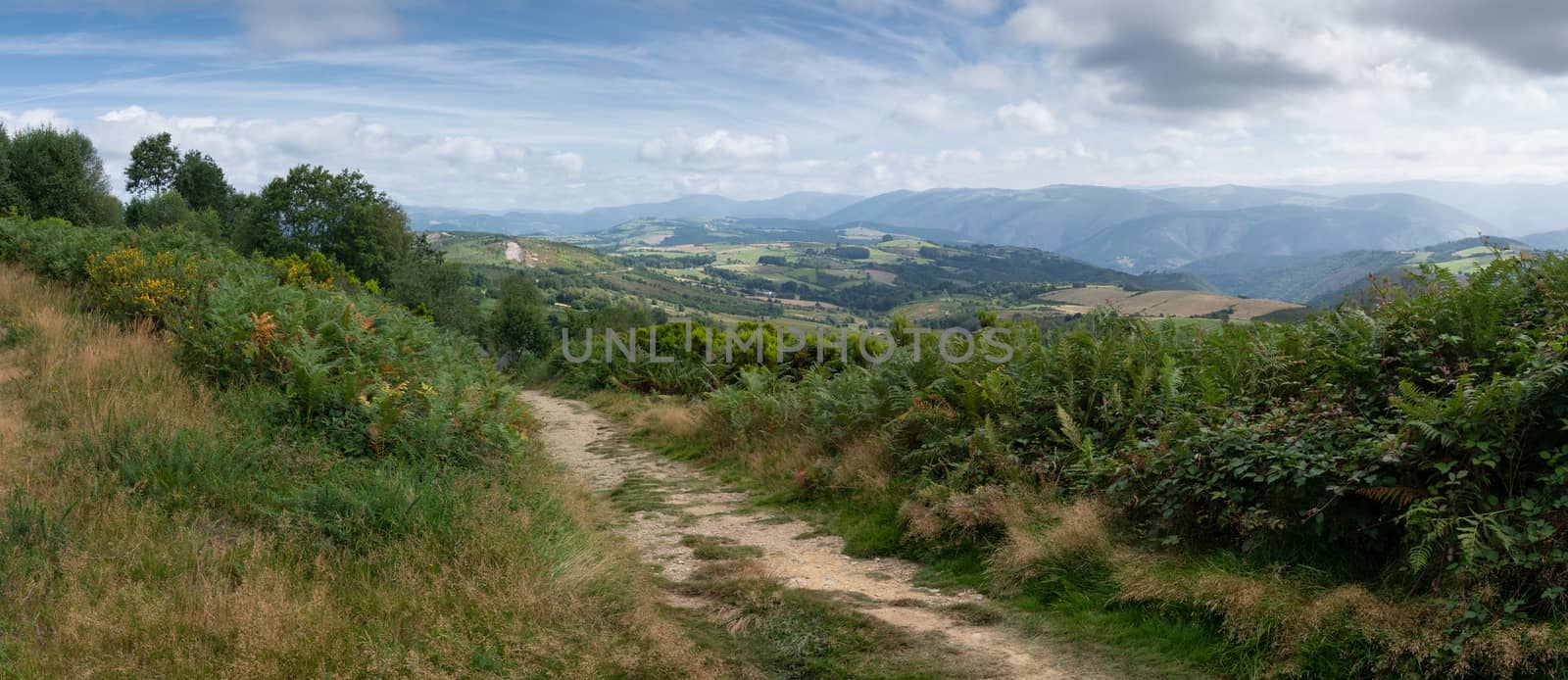 Camino Primitivo, Asturias, Spain by alfotokunst