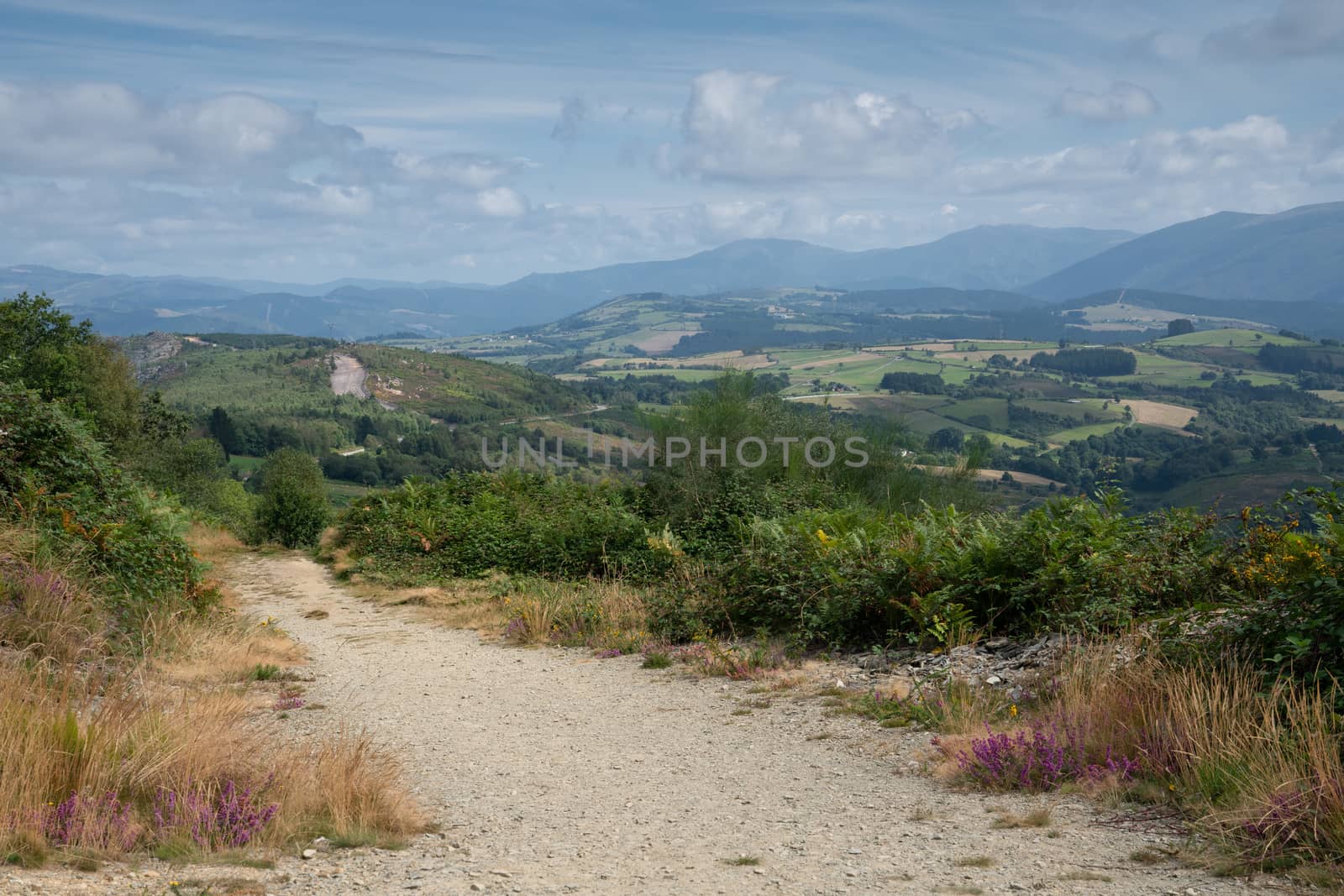 Panoramic landscape along the Camino de Santiago trail between Grandas de Salime and Fonsagrada, Asturias, Spain