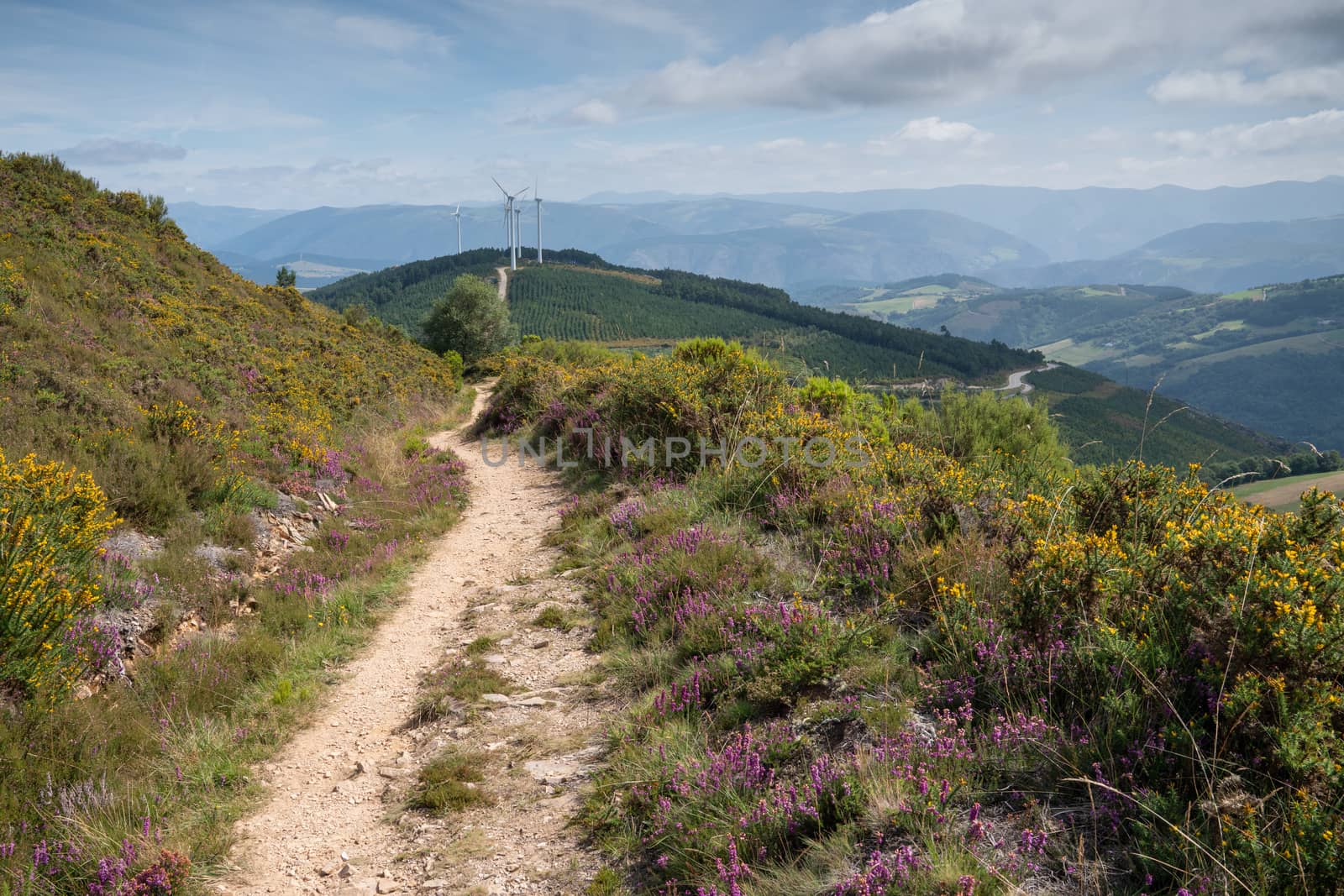 Panoramic landscape along the Camino de Santiago trail between Grandas de Salime and Fonsagrada, Asturias, Spain