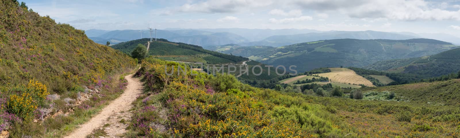 Panoramic landscape along the Camino de Santiago trail between Grandas de Salime and Fonsagrada, Asturias, Spain