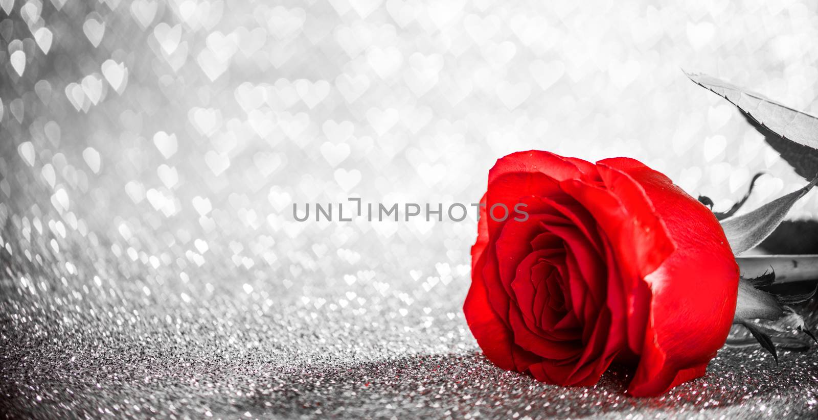 Beautiful red rose on heart shape bokeh glitter background