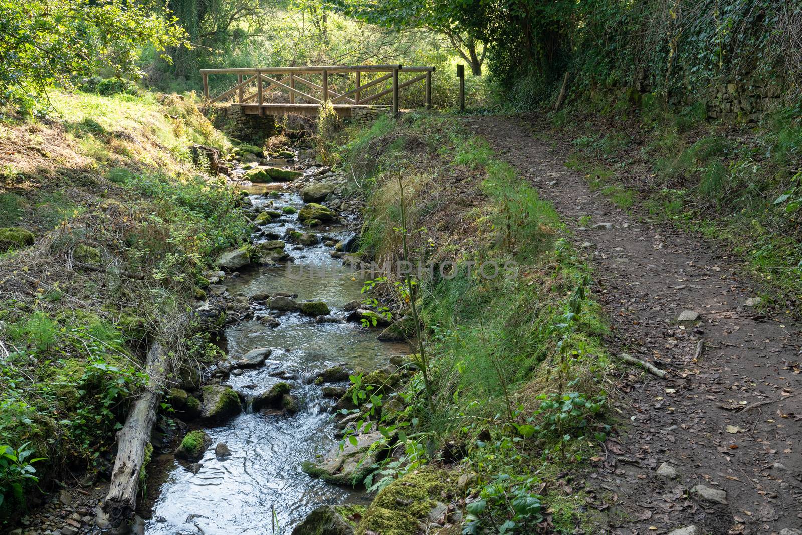 Camino de Santiago trail between Grado and Salas, Asturias, Spain