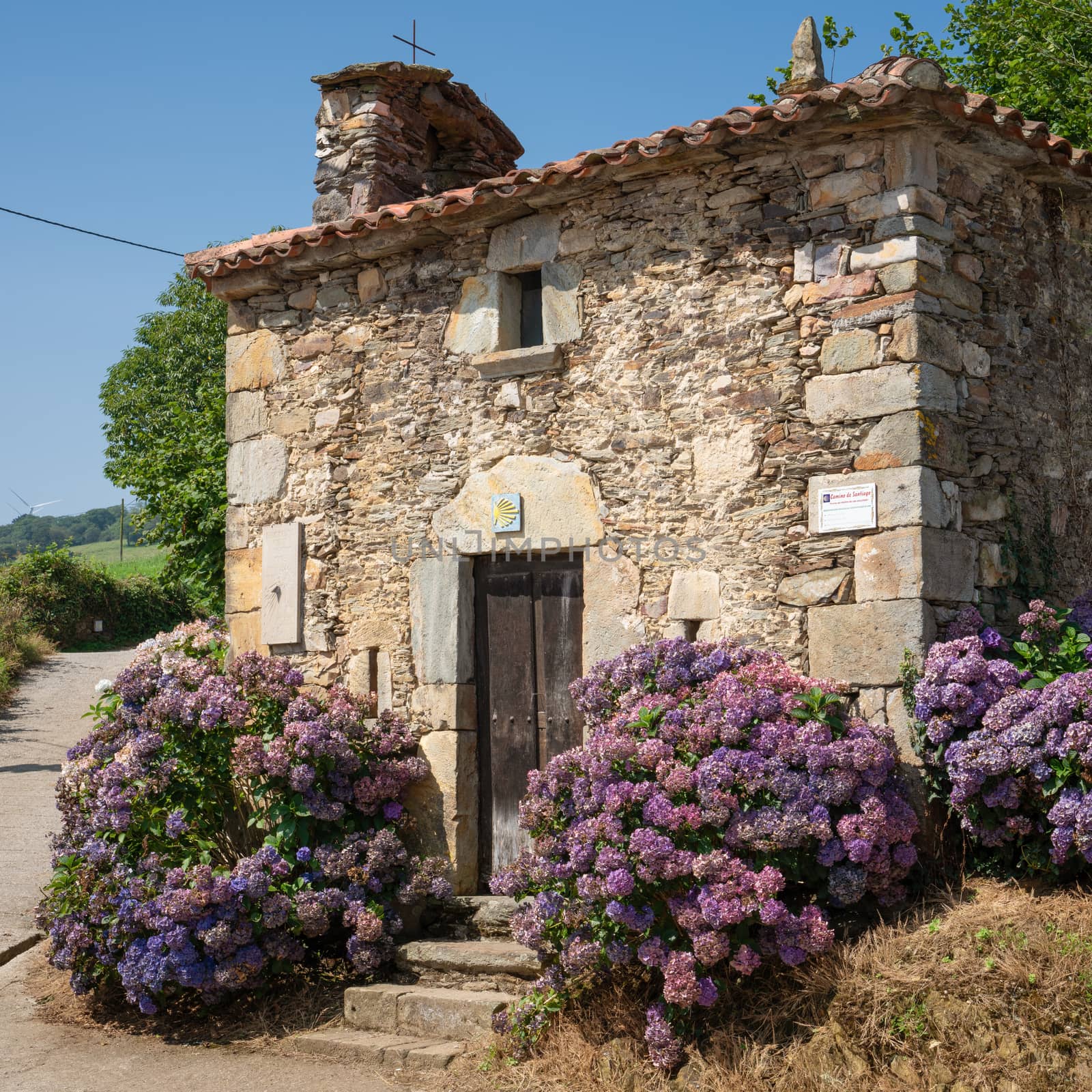 Small chapel of La Pereda with blooming hydrangeas, Camino de Santiago, Asturias Spain 