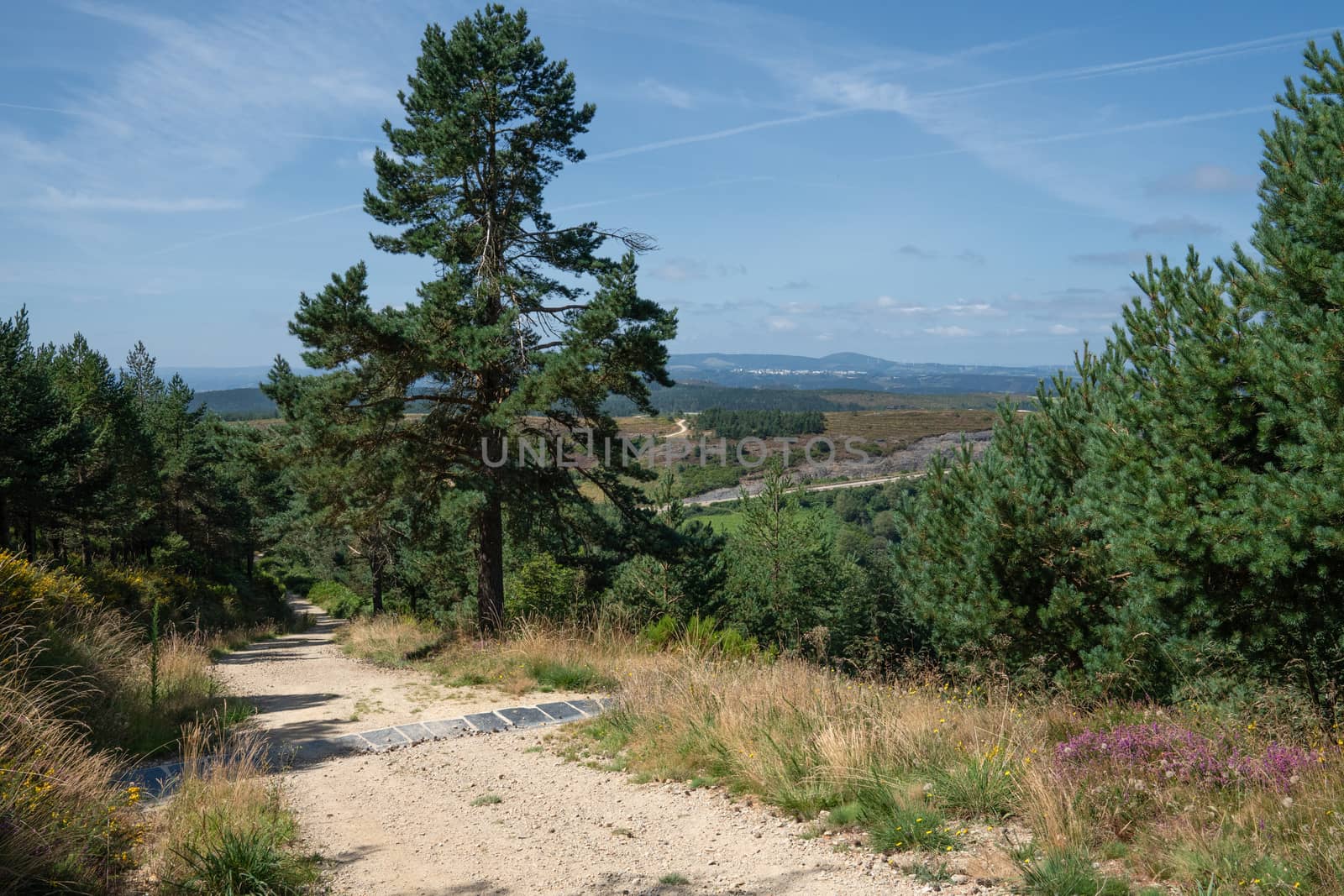 Panoramic landscape along the Camino de Santiago trail between Grandas de Salime and Fonsagrada, Galicia, Spain