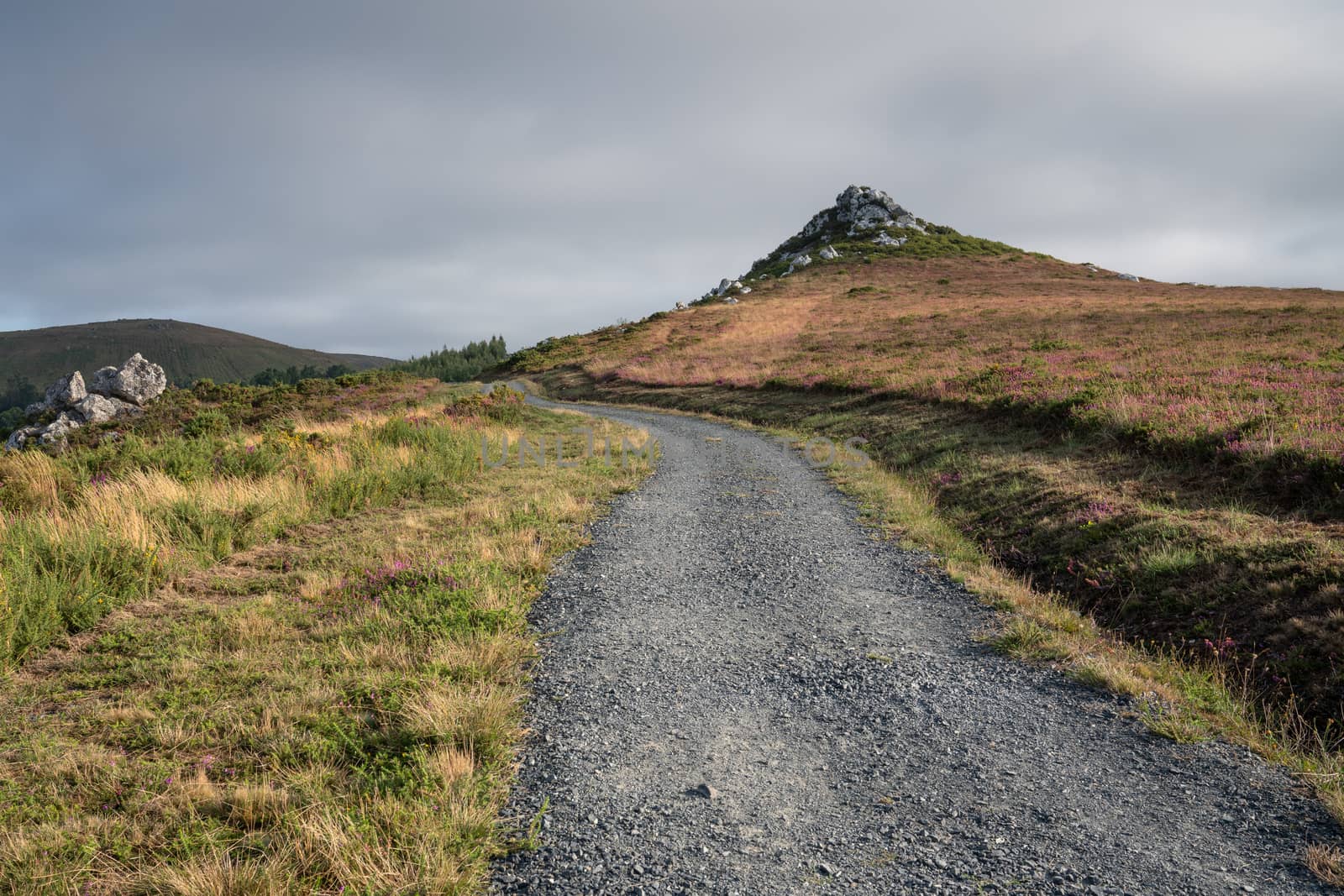Panoramic landscape along the Camino de Santiago trail between Lugo and Melide, Galicia, Spain