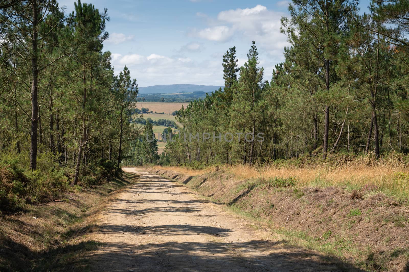 Panoramic landscape along the Camino de Santiago trail between Lugo and Melide, Galicia, Spain