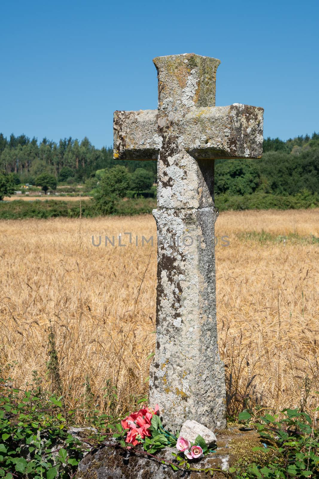 Pilgrimage on the Camino de Santiago trail, Spain by alfotokunst