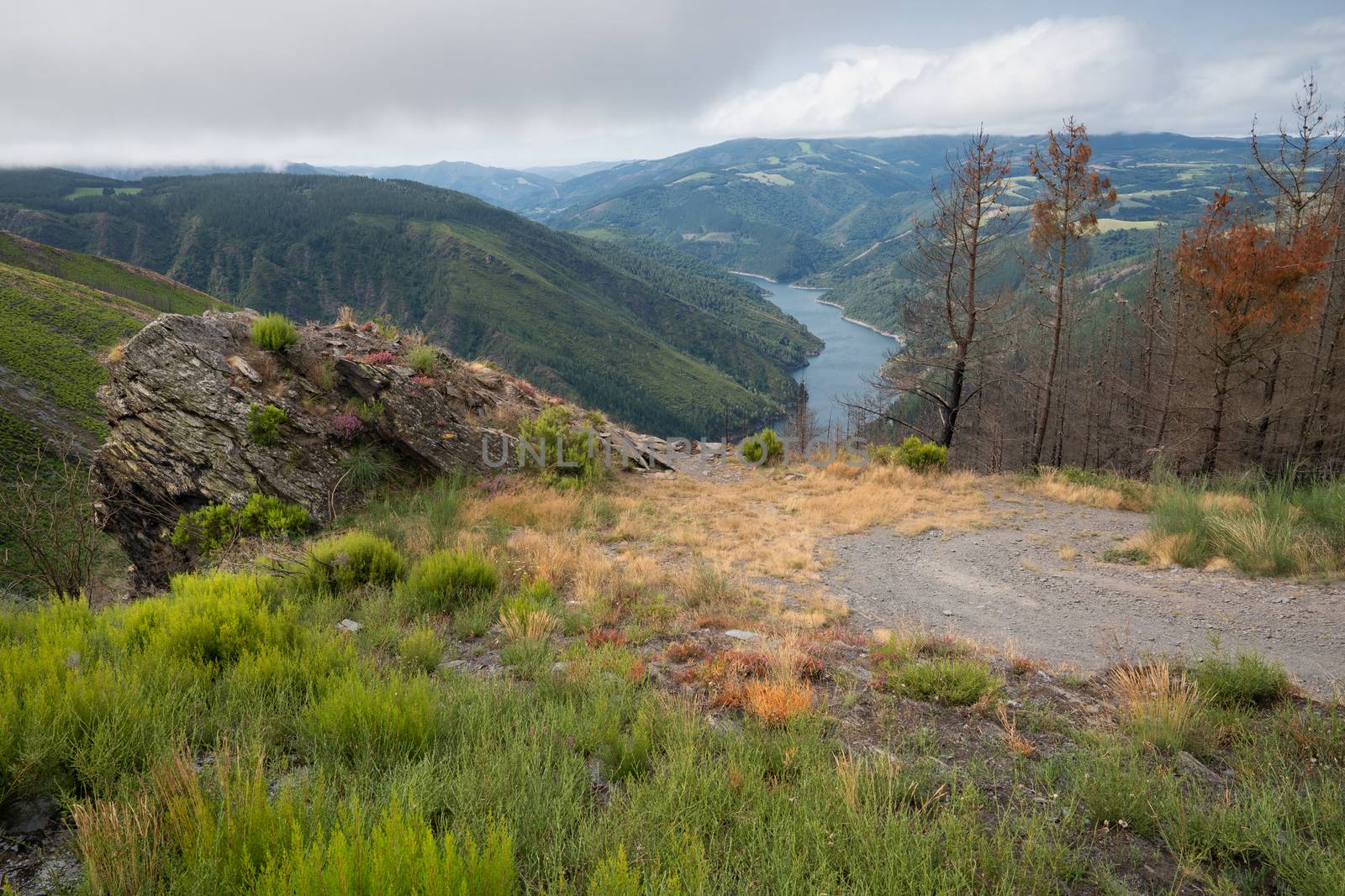 Water reservoir close to Grandas de Salime, beautiful landscape along the Camino de Santiago trail, Asturias, Spain