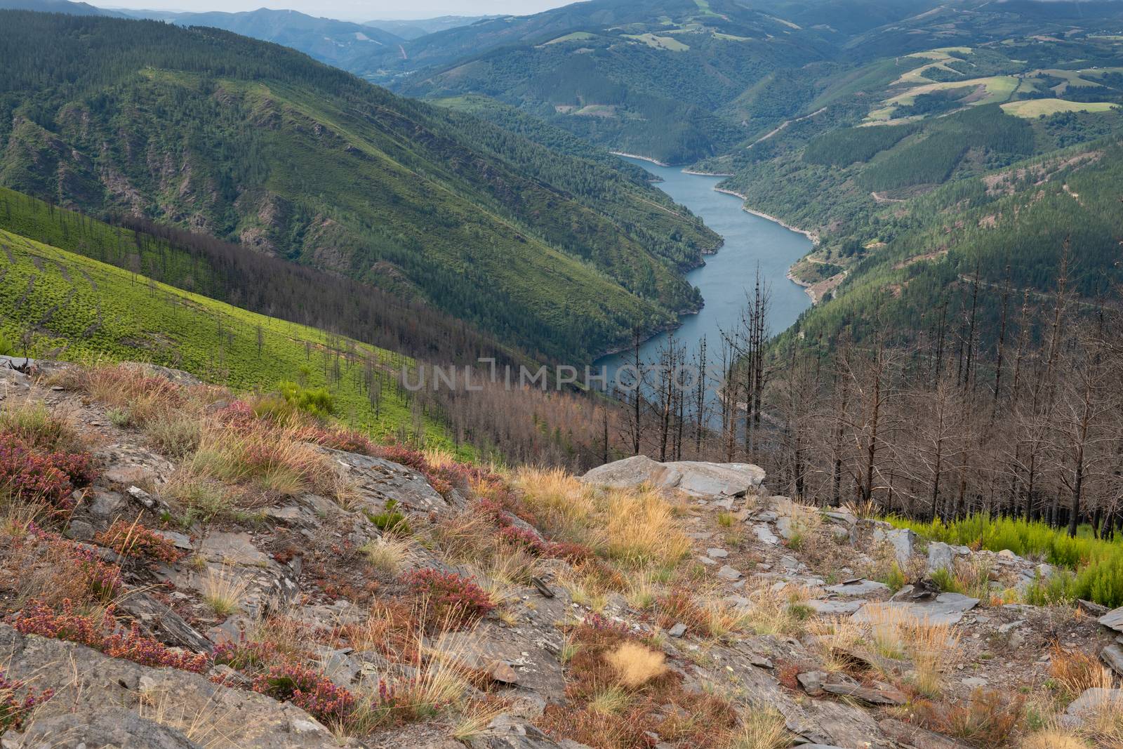 Water reservoir close to Grandas de Salime, beautiful landscape along the Camino de Santiago trail, Asturias, Spain
