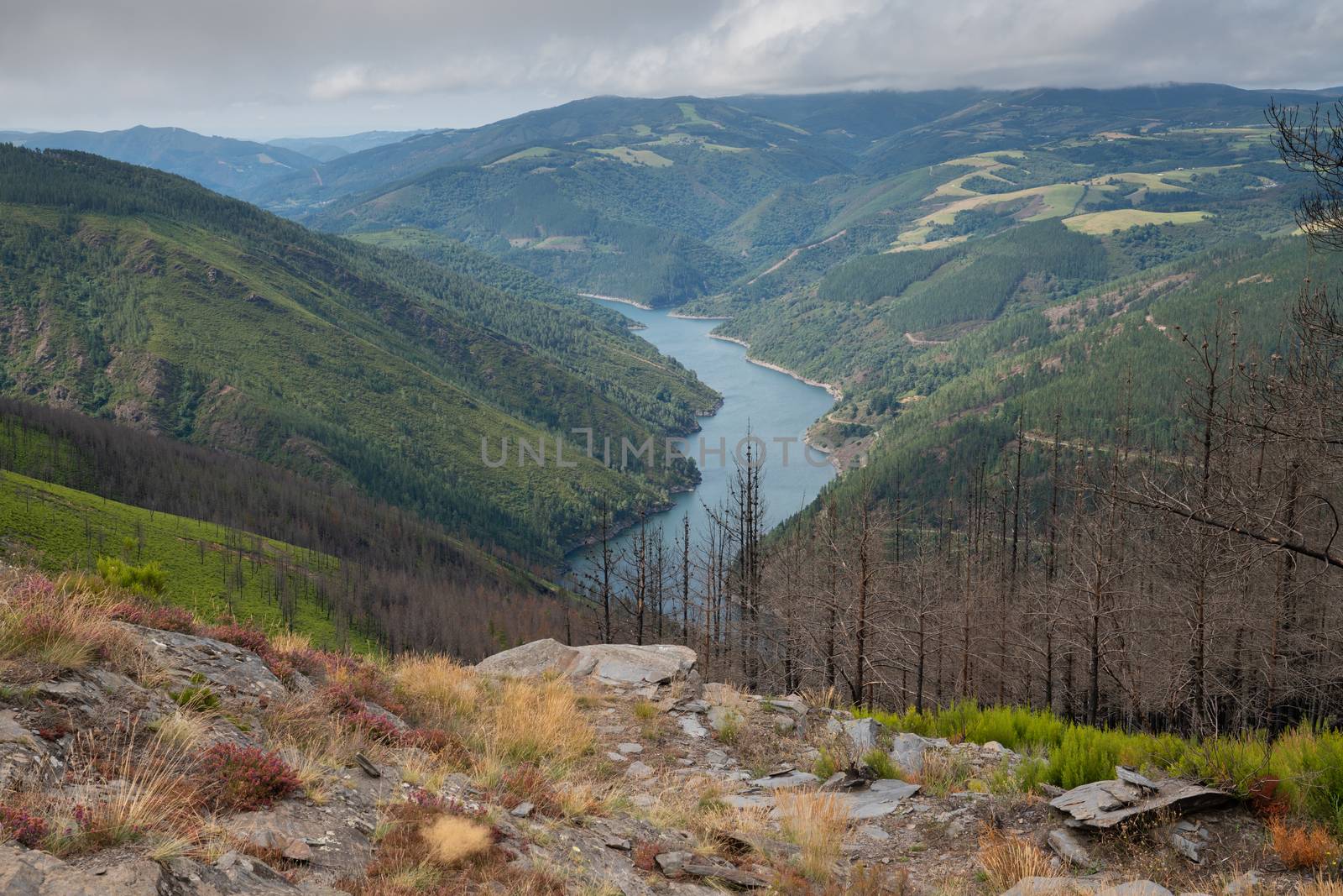 Water reservoir close to Grandas de Salime, beautiful landscape along the Camino de Santiago trail, Asturias, Spain