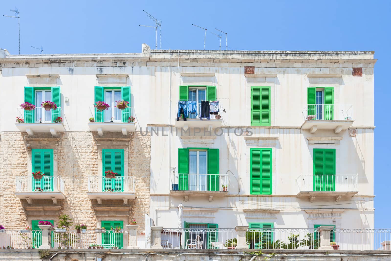 Molfetta, Apulia, Italy - Green window shutters at the historical facades in Molfetta