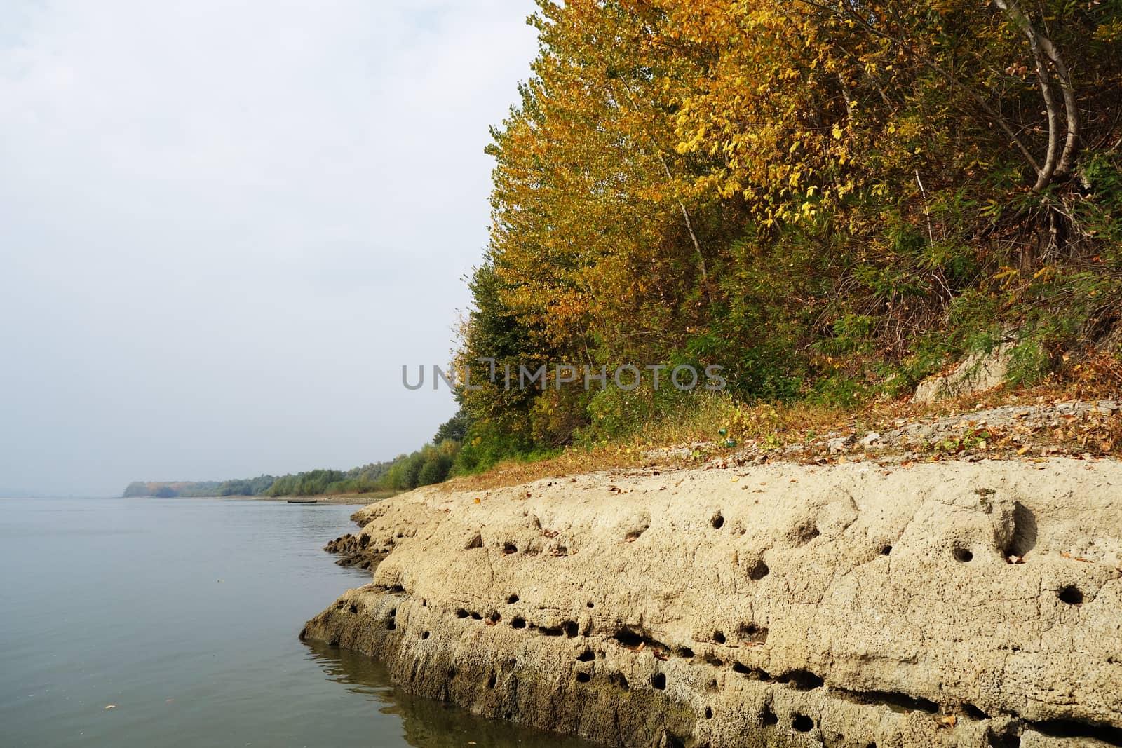 Autumn on the Danube River in Romania
Natural areas on the Danube River and the Danube Islands.
Specific forests of willow and poplar in October 2018
Come and see this wonderful autumn
