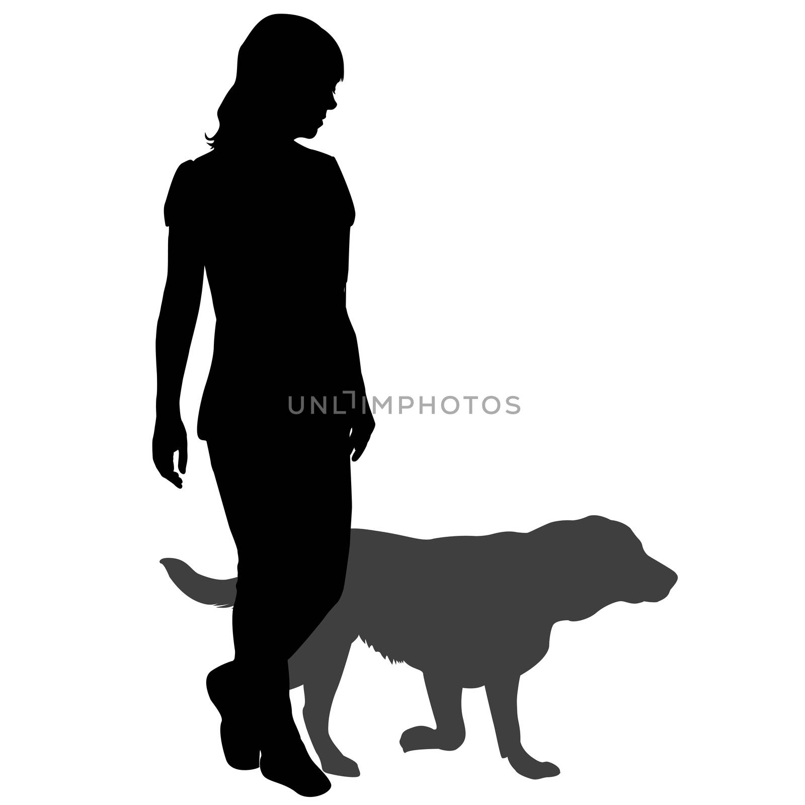 Silhouette of a woman with a dog on a walk by hibrida13