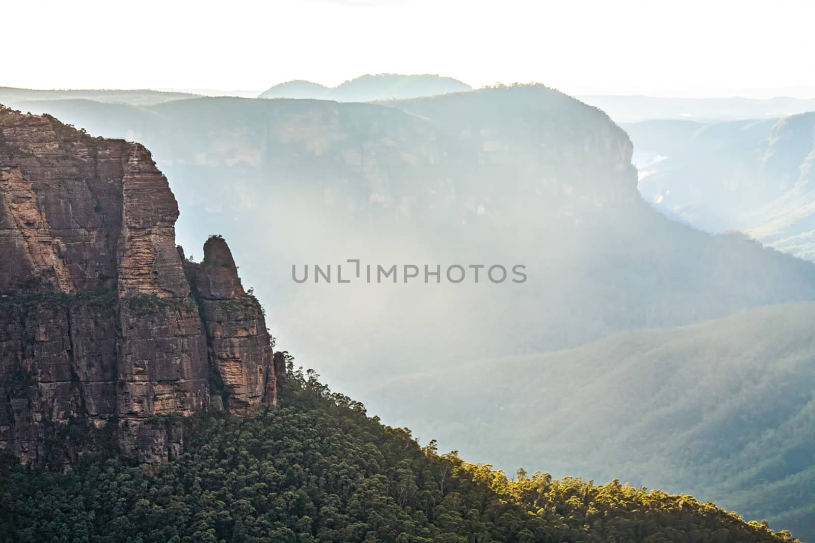 Sunlight through the valley illumnates fine mist rising up out of the Grose Valley Blue Mountains