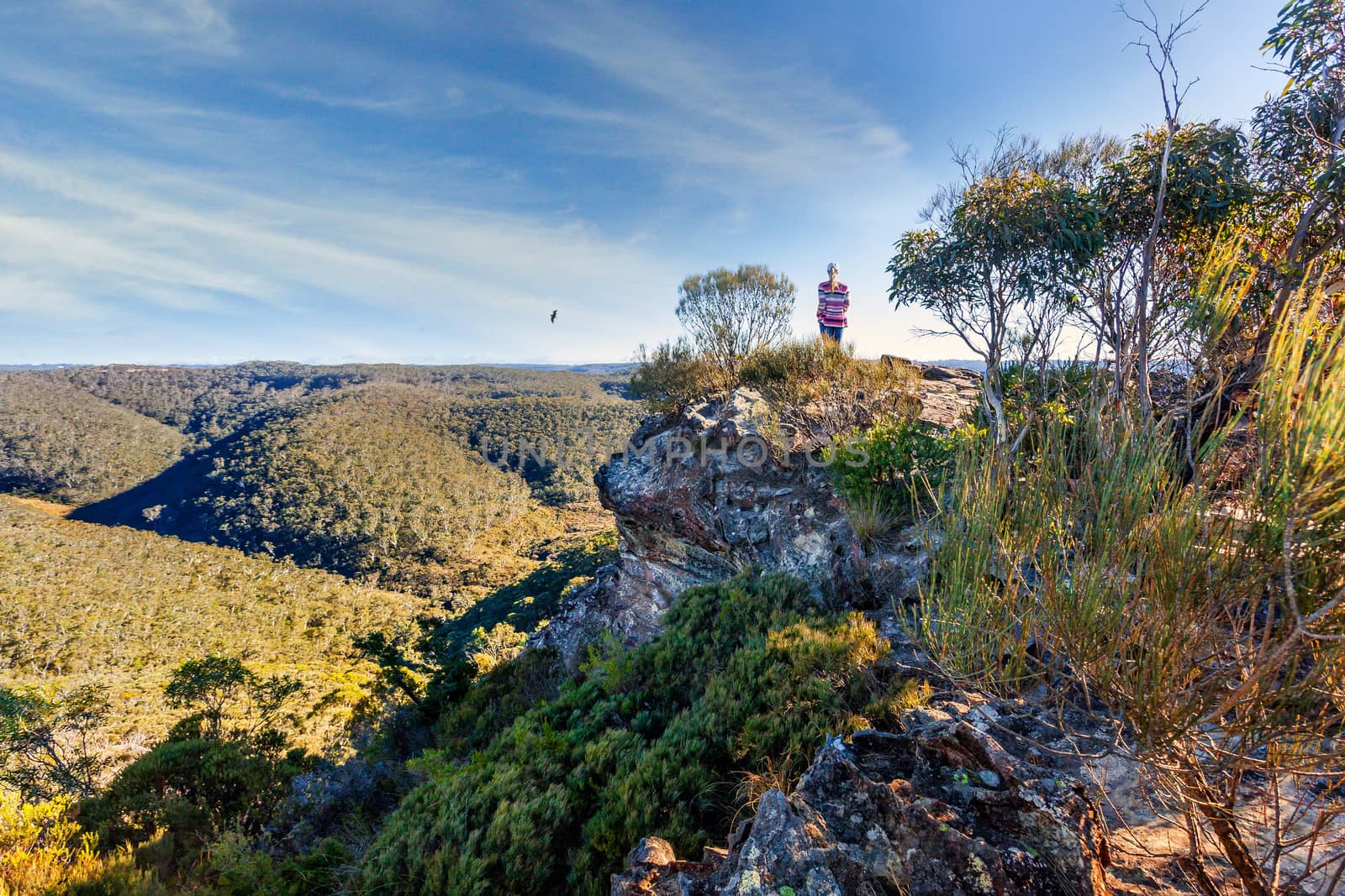 Blue Mountains views from a rocky ledge on the ridge line with an oulook for mile and miles