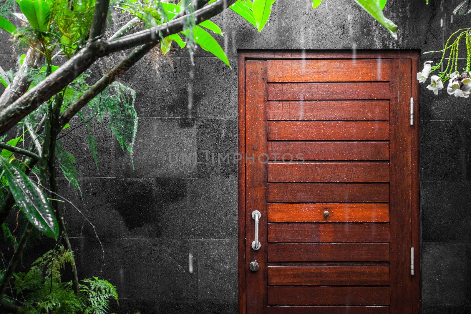 Vew at wooden door onto heavy tropical rain