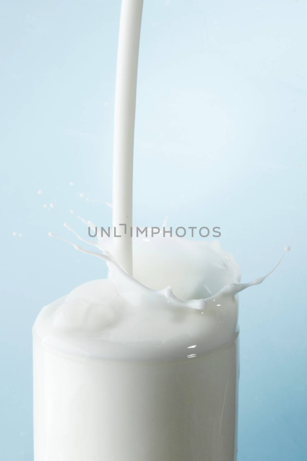 Splash of milk in glass on blue background