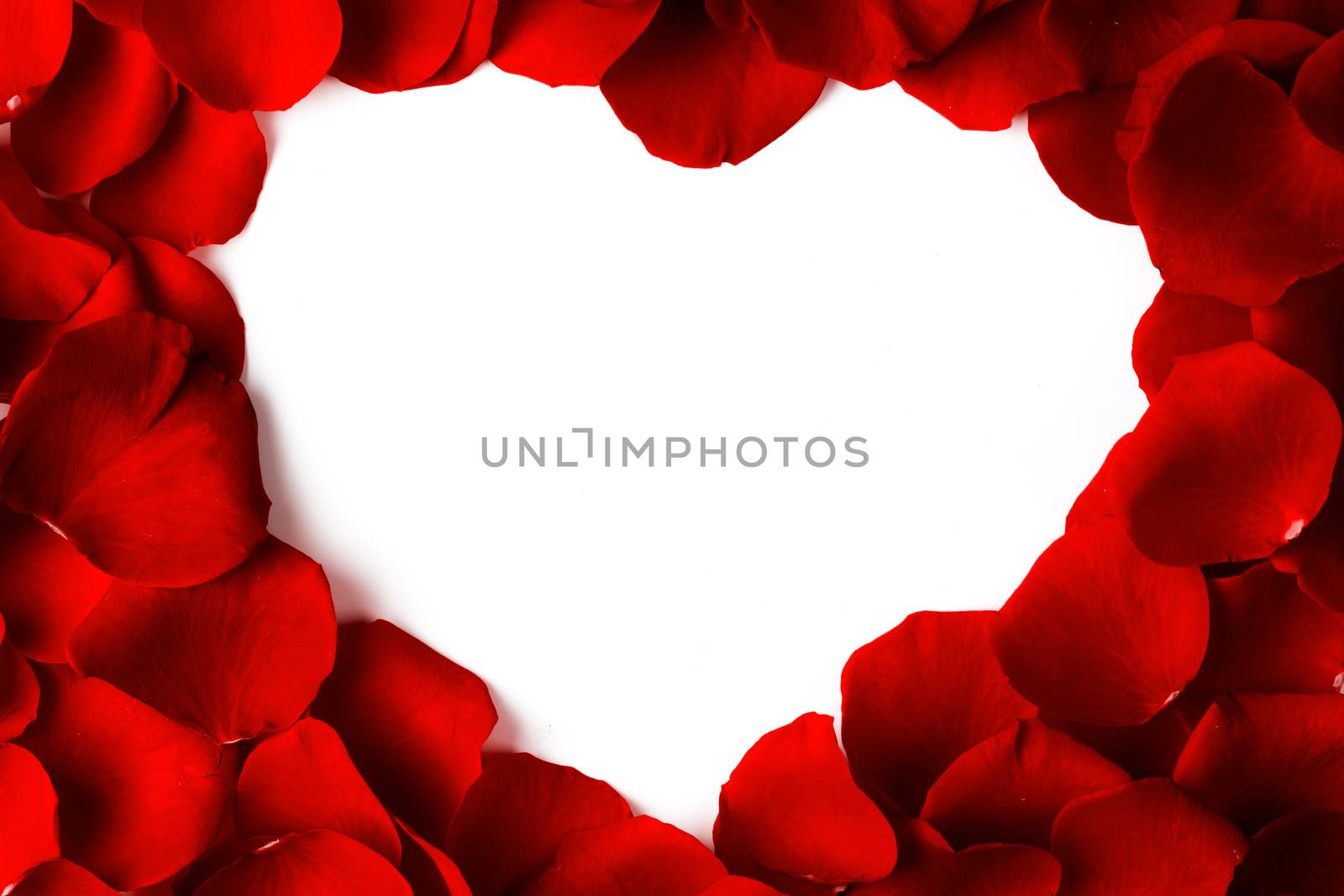Heart shape frame made of rose petals, white isolated copy space