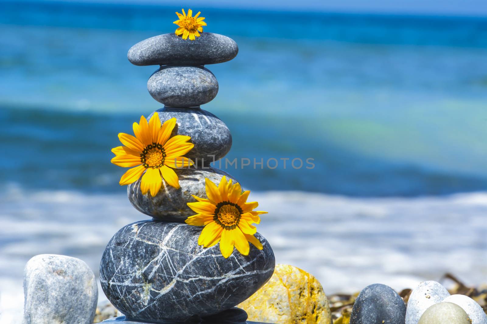 zen stones, flowers and peace concept by crazymedia007