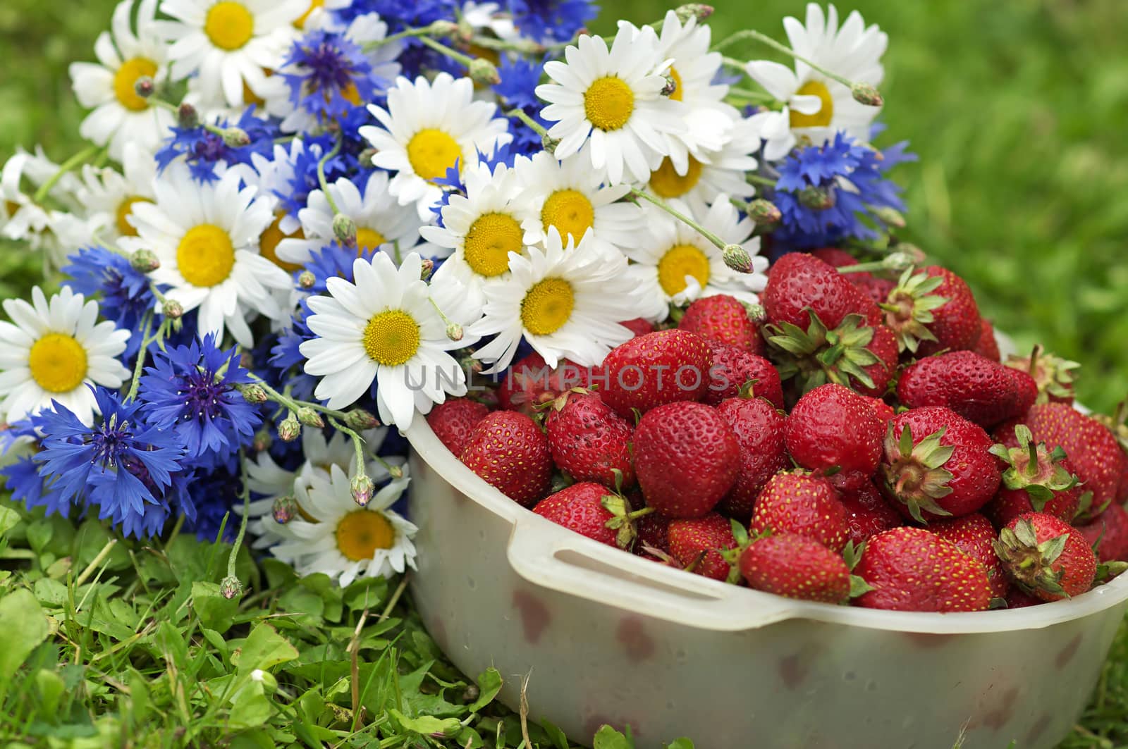 Plastic bowl with strawberrry next to wild flowers.