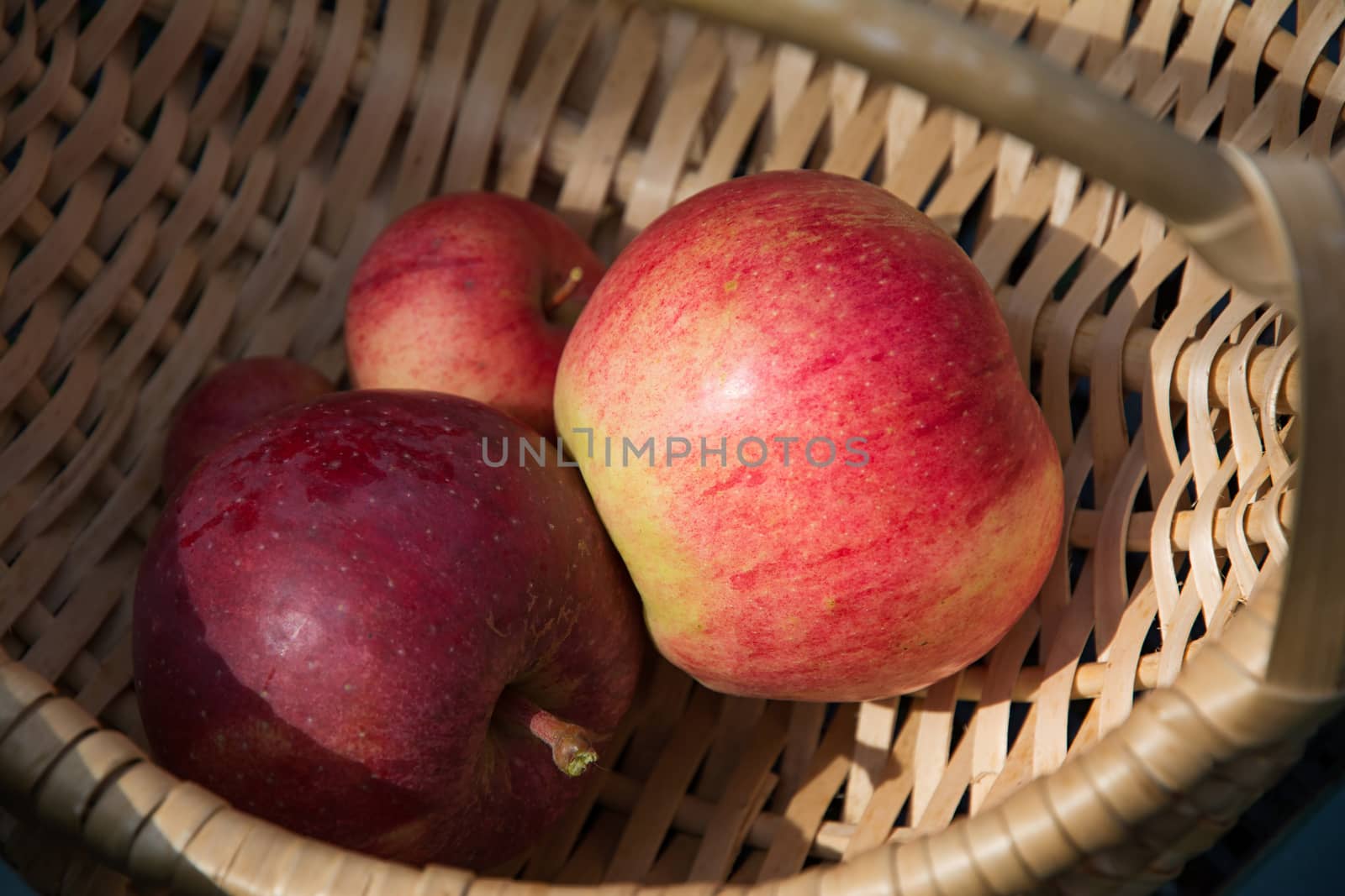 Some red apples in the basket. Ripe red apples in the basket on the green grass.