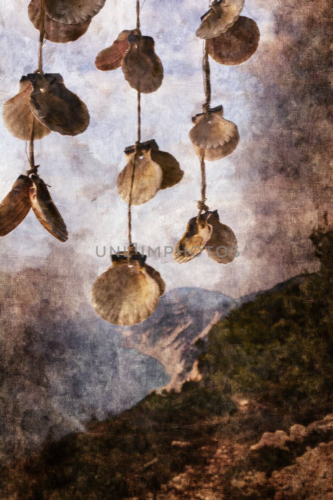 Shells with beautiful coastline background - Lefkada island in Greece by ankarb