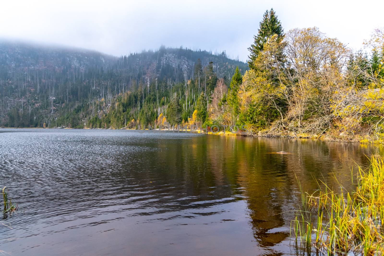 Plesne Lake and Plechy Mountain in autumn. Sumava National Park, Czech Republic.